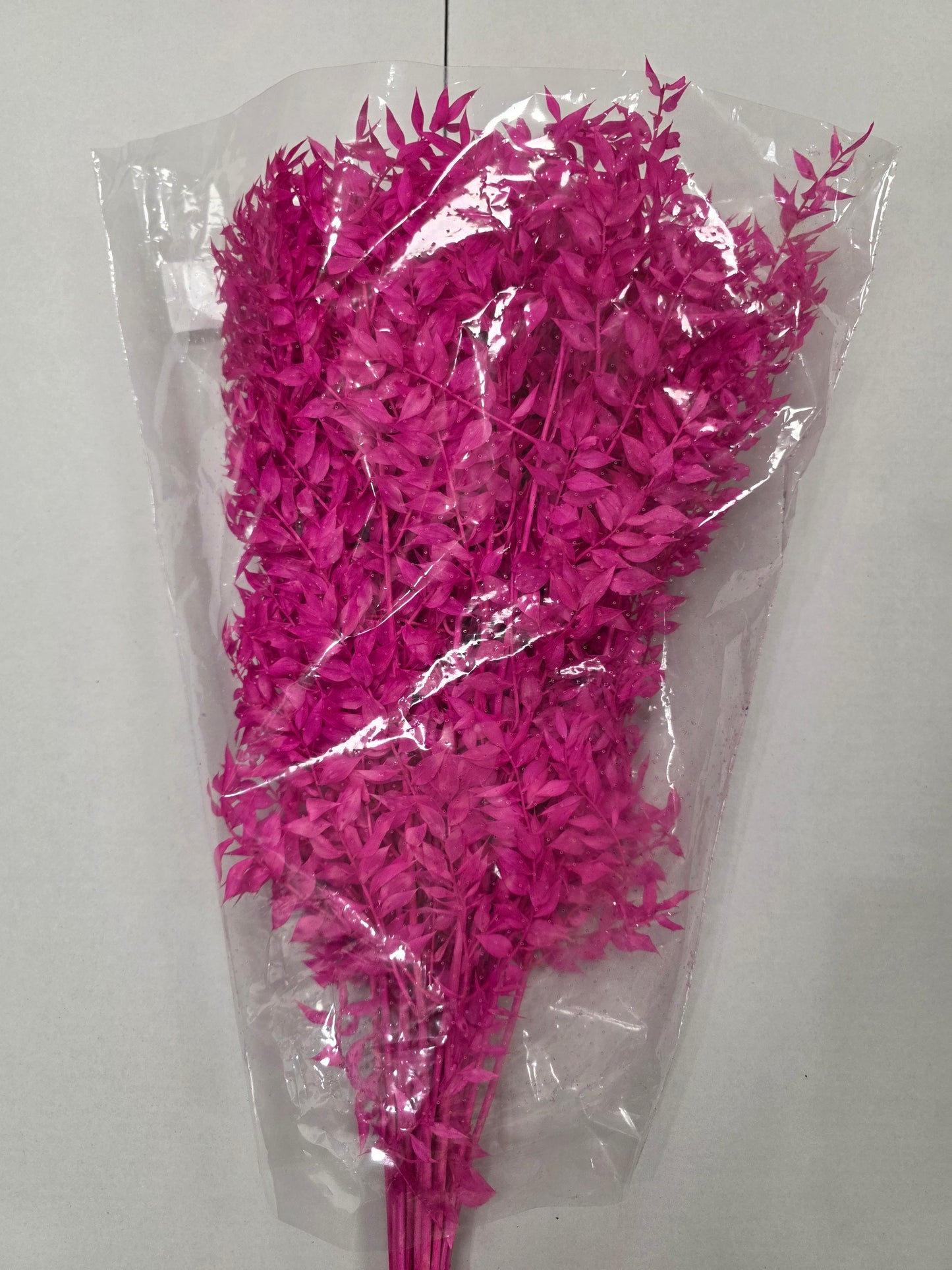 Dried Ruscus Fuxia