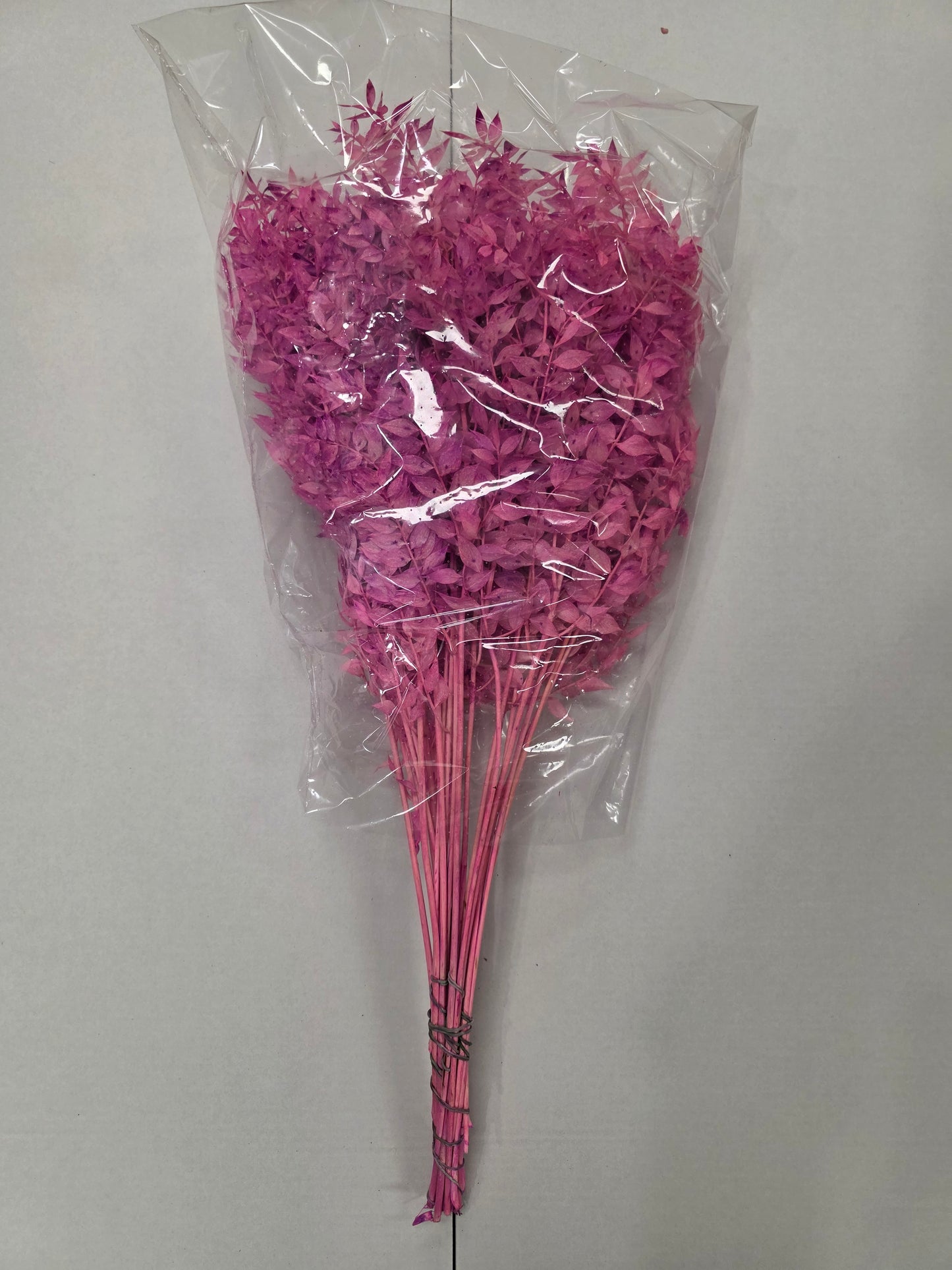 Dried Ruscus L.milka