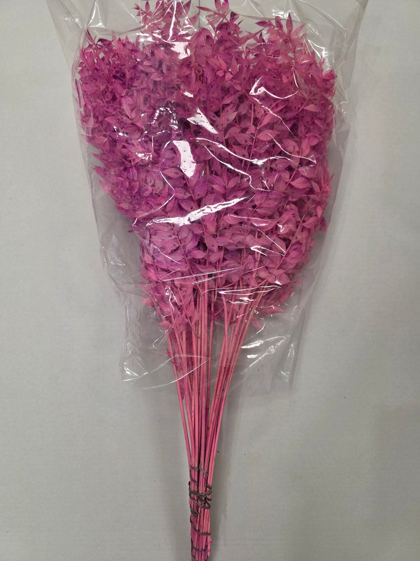 Dried Ruscus L.milka