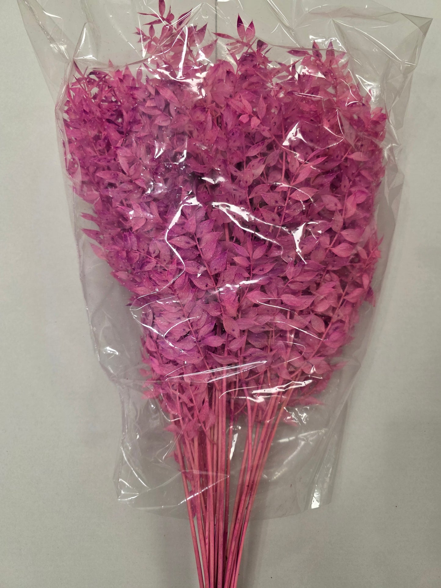 Dried Ruscus L.milka