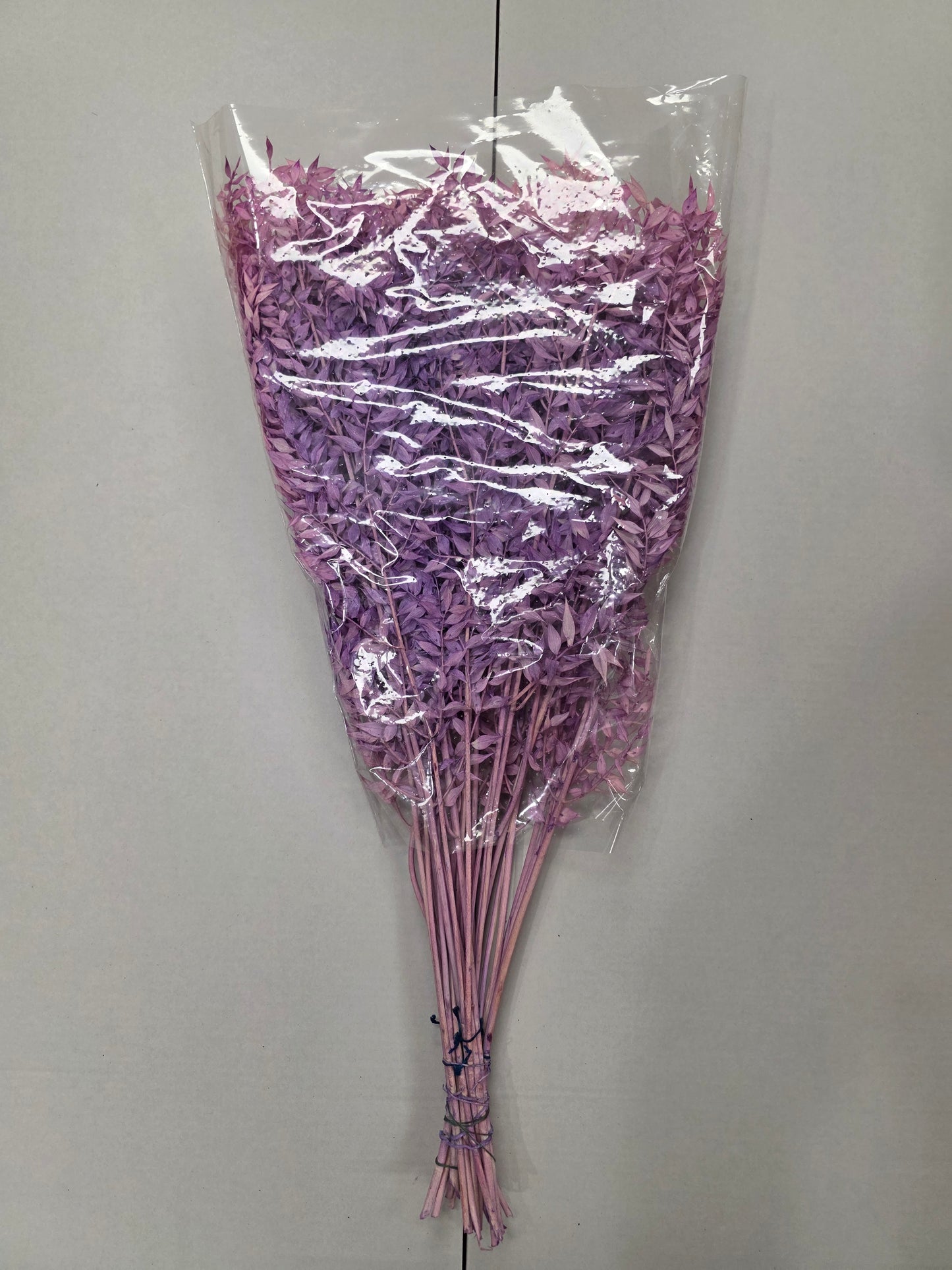 Dried Ruscus Lavender