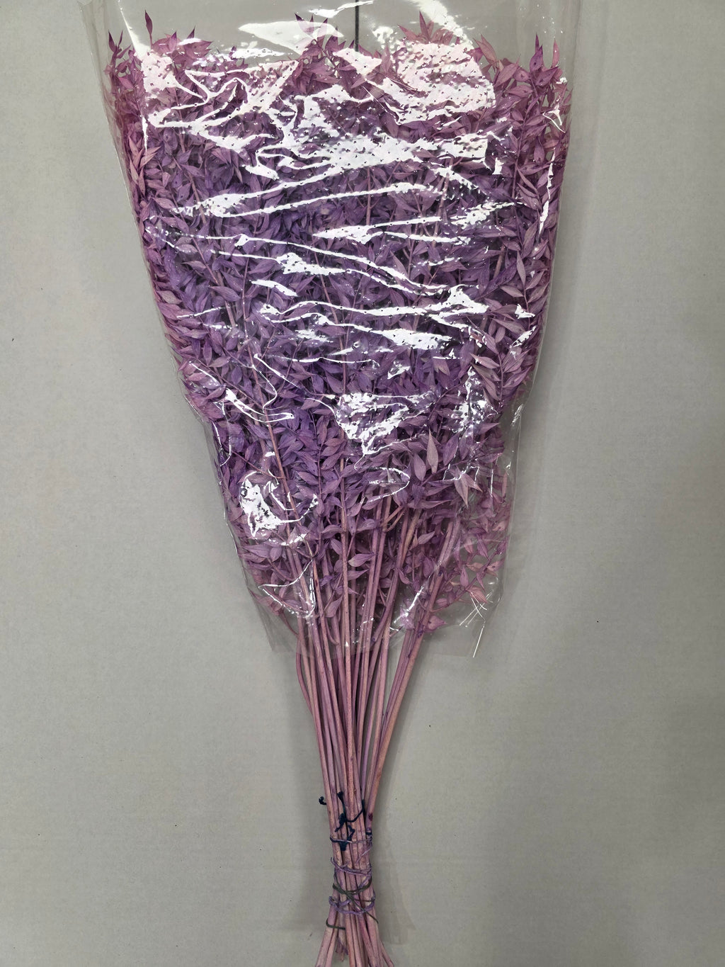 Dried Ruscus Lavender