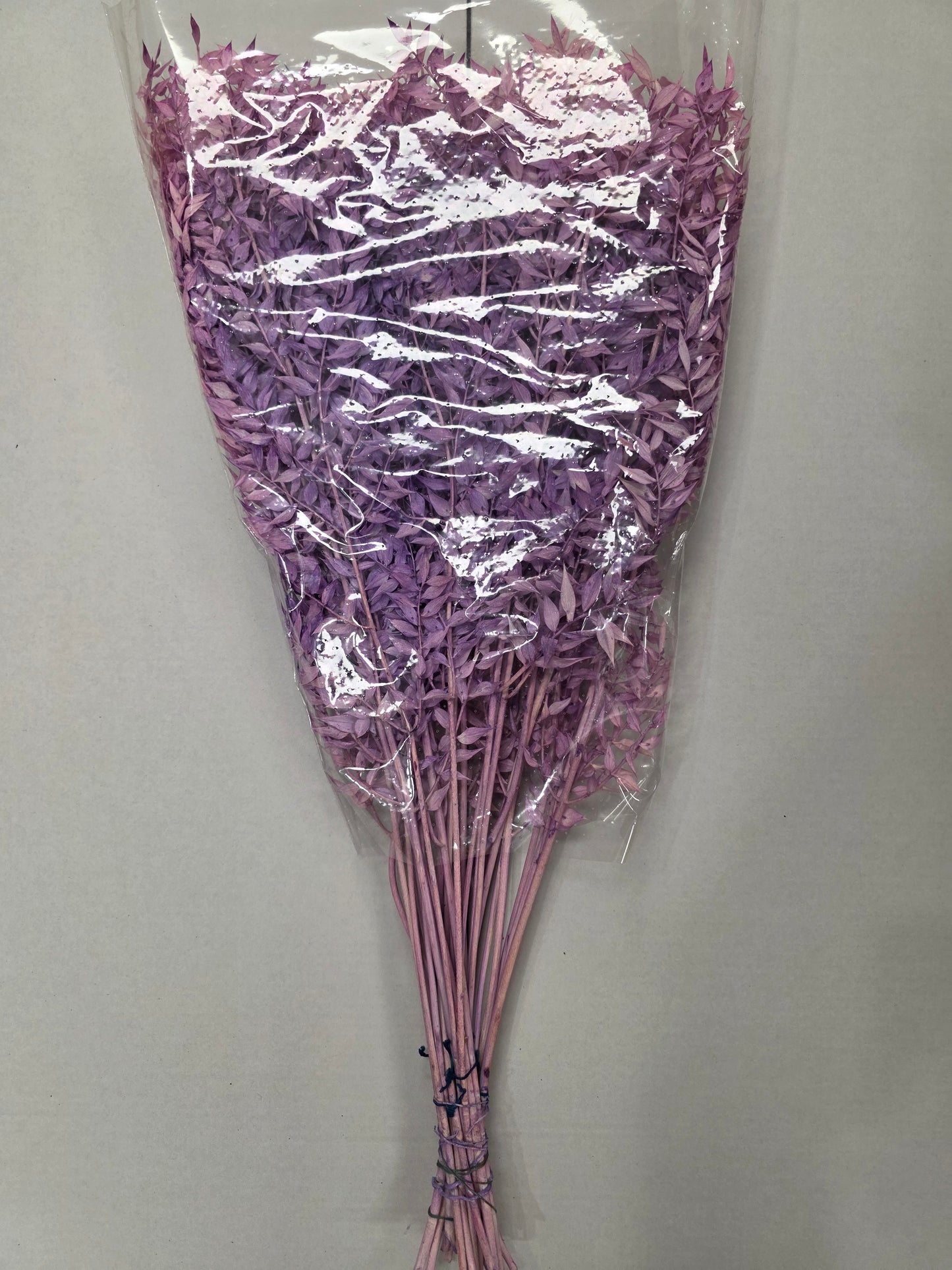 Dried Ruscus Lavender