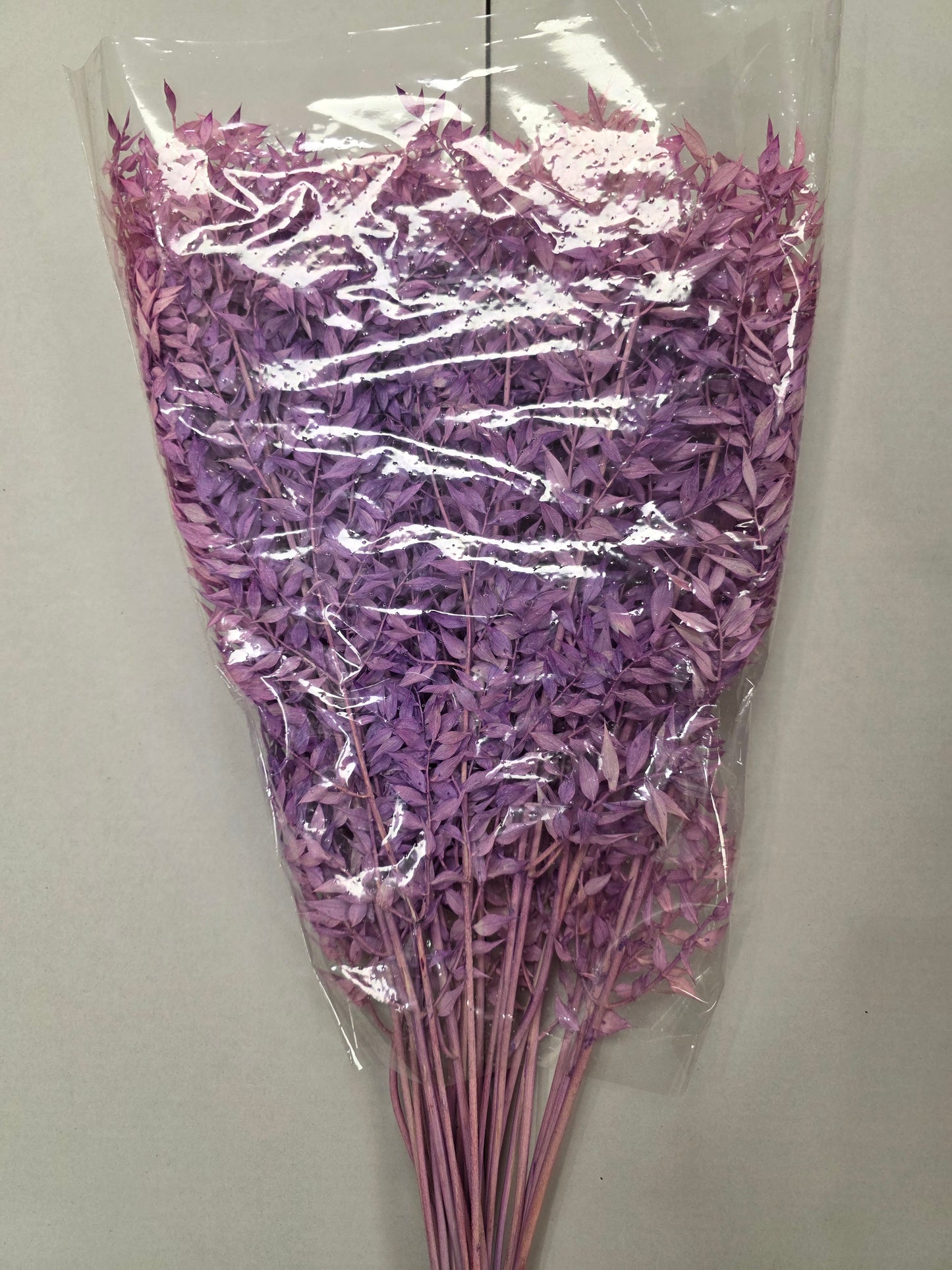 Dried Ruscus Lavender