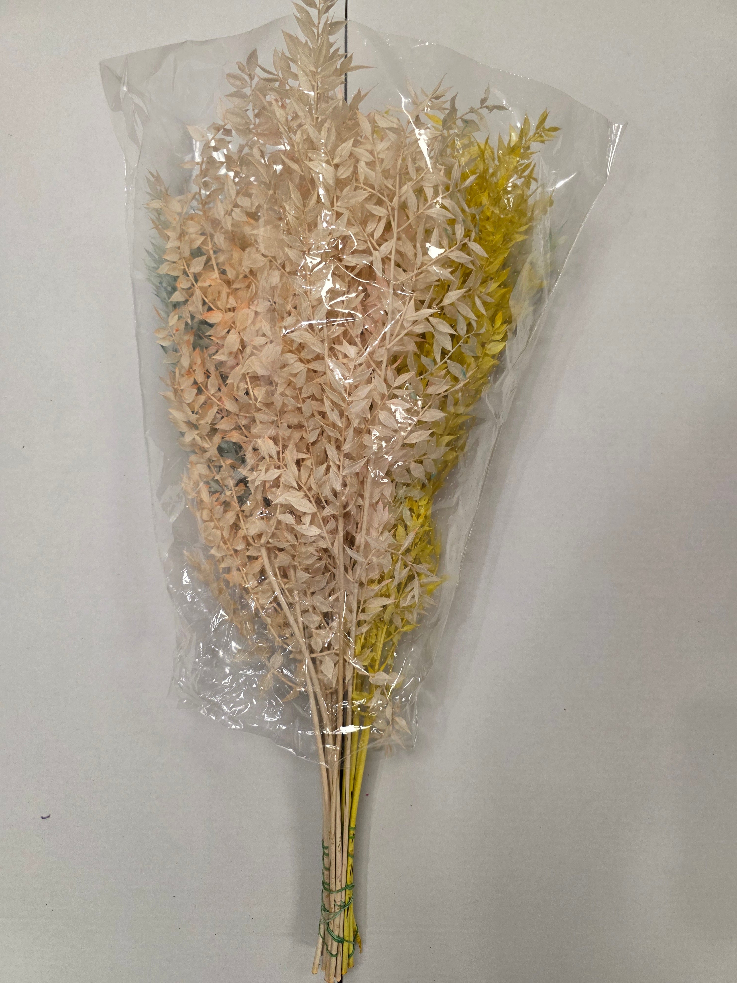 Dried Ruscus Mix