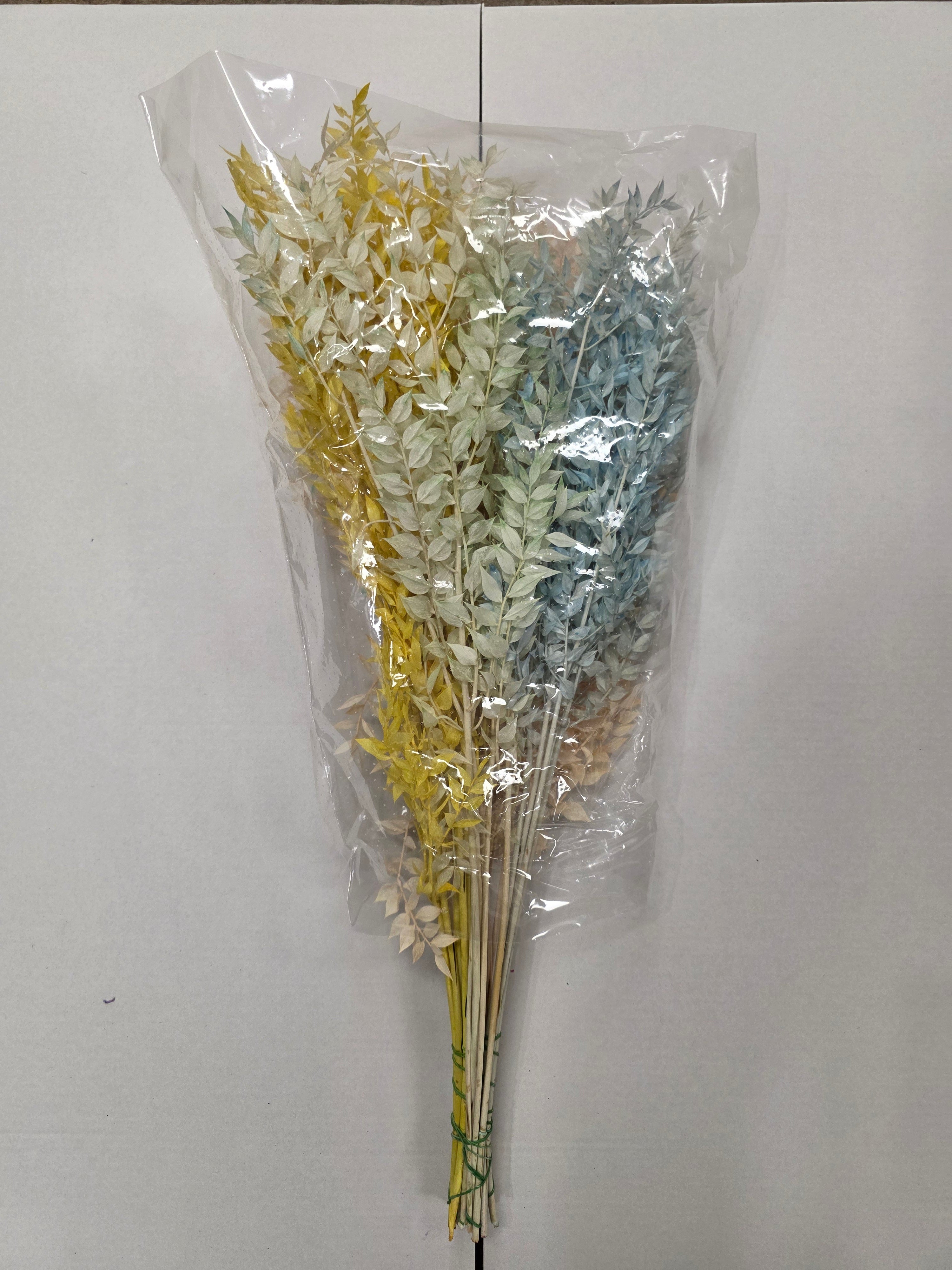 Dried Ruscus Mix