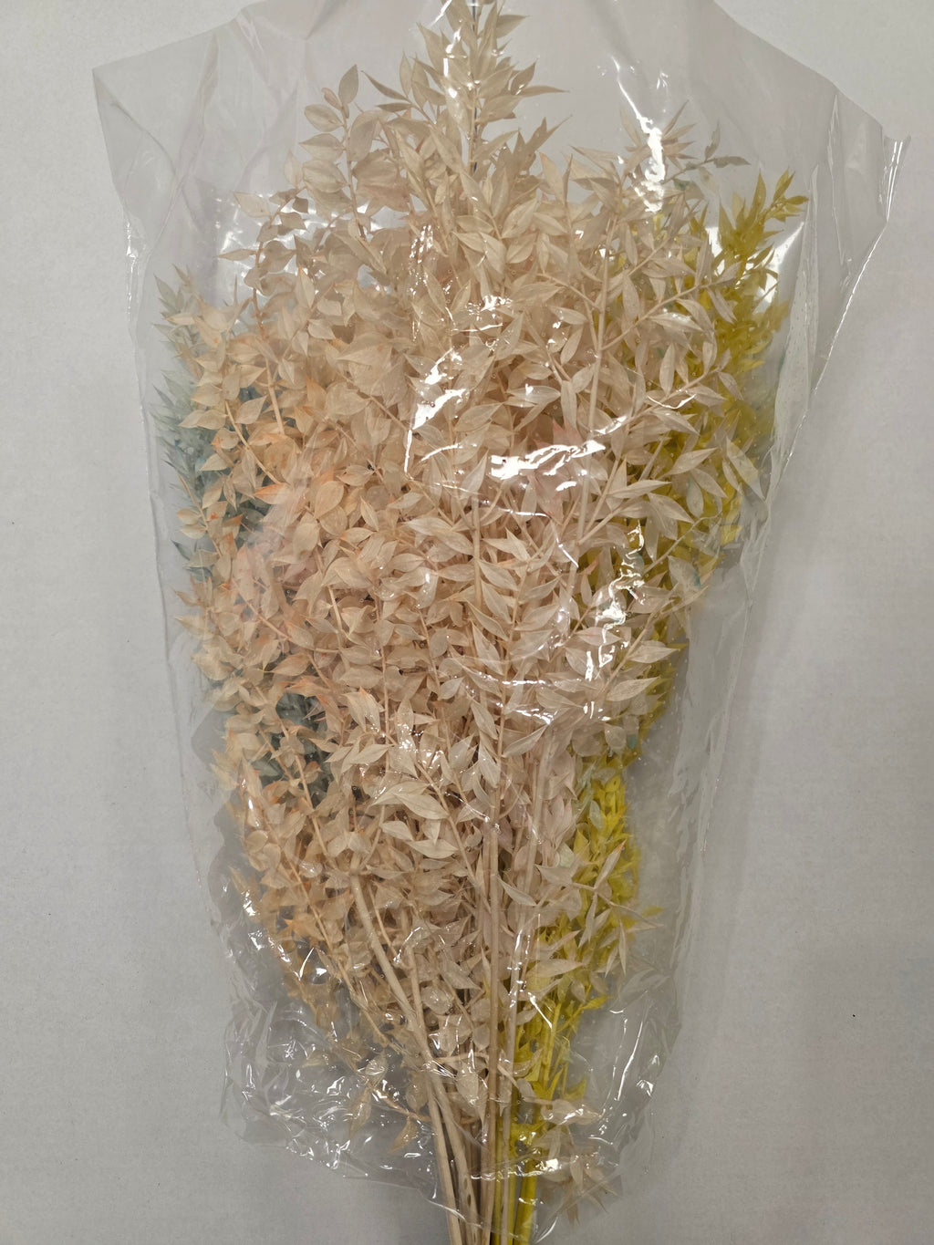 Dried Ruscus Mix