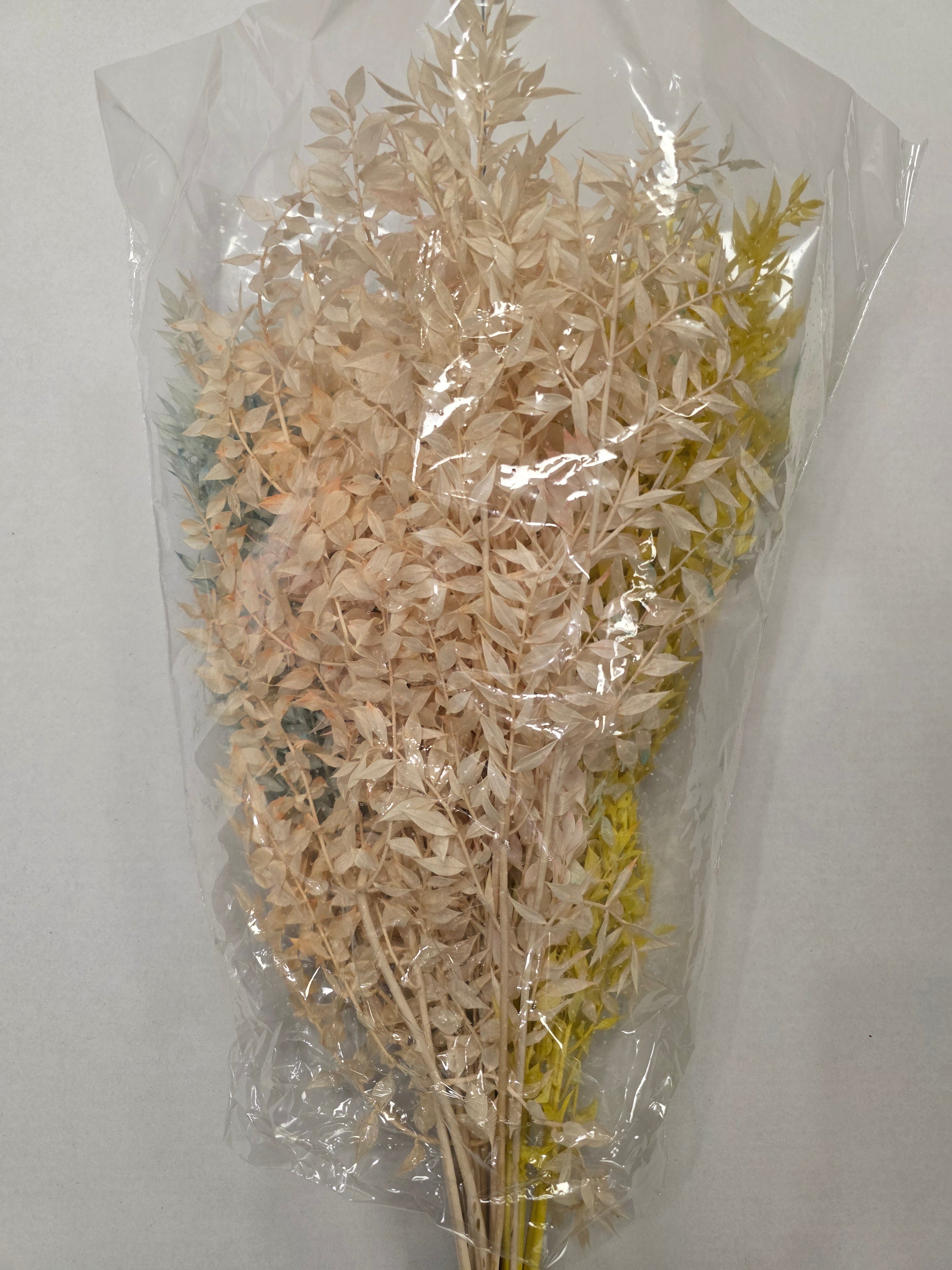 Dried Ruscus Mix