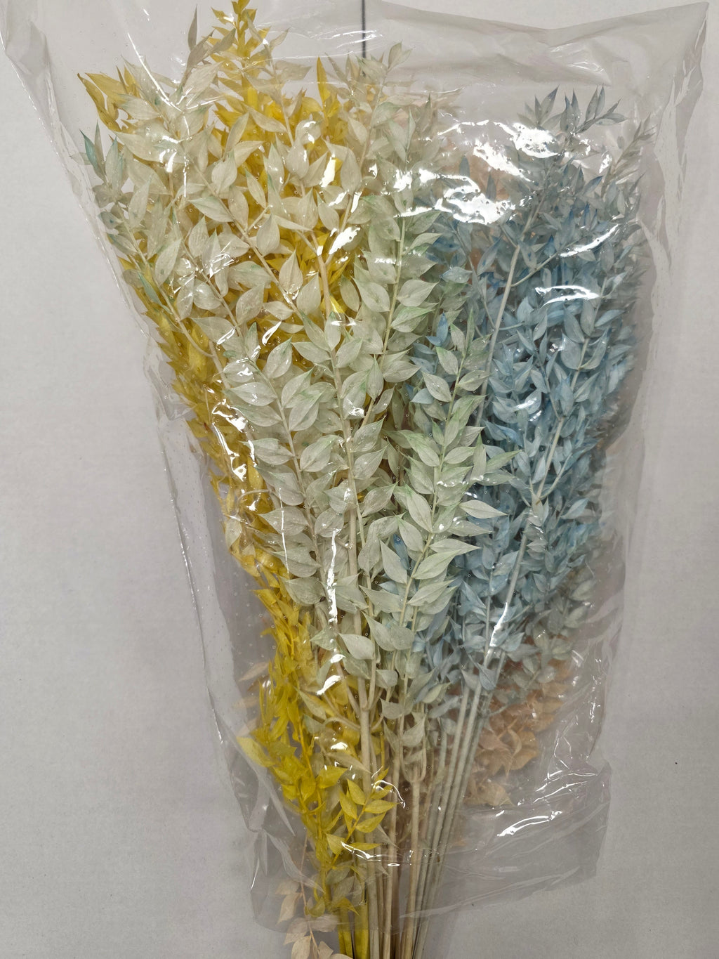 Dried Ruscus Mix