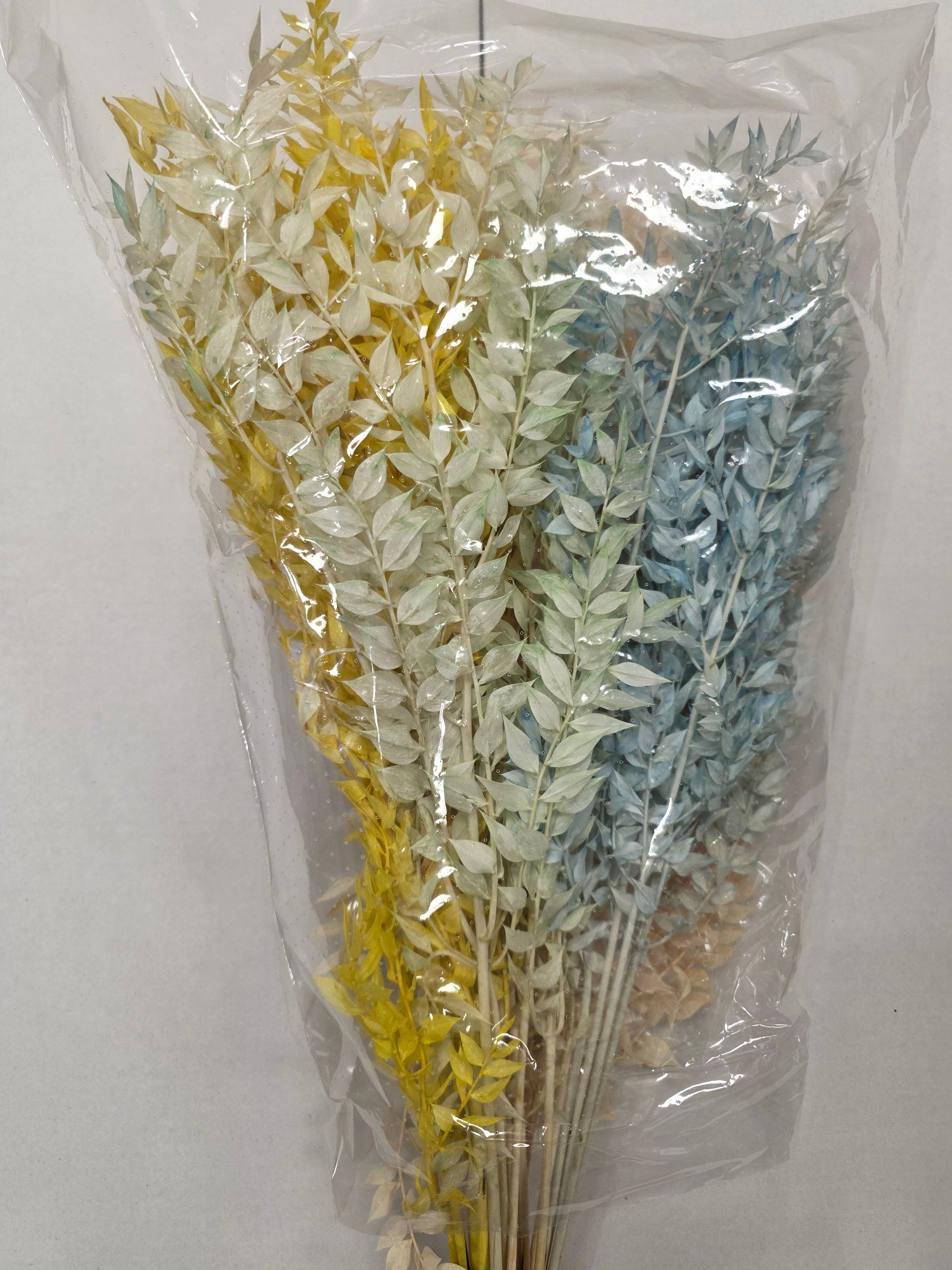 Dried Ruscus Mix