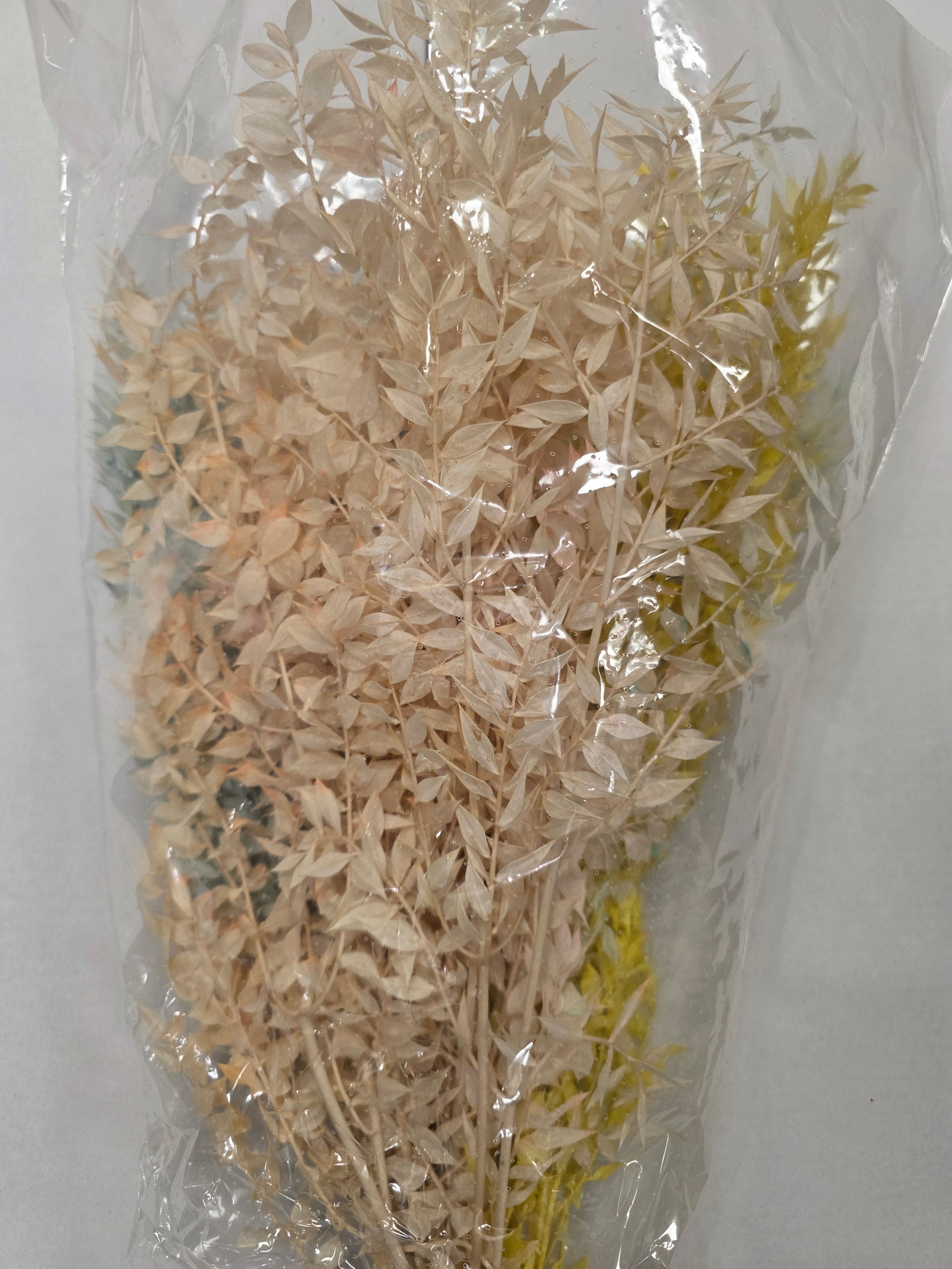 Dried Ruscus Mix