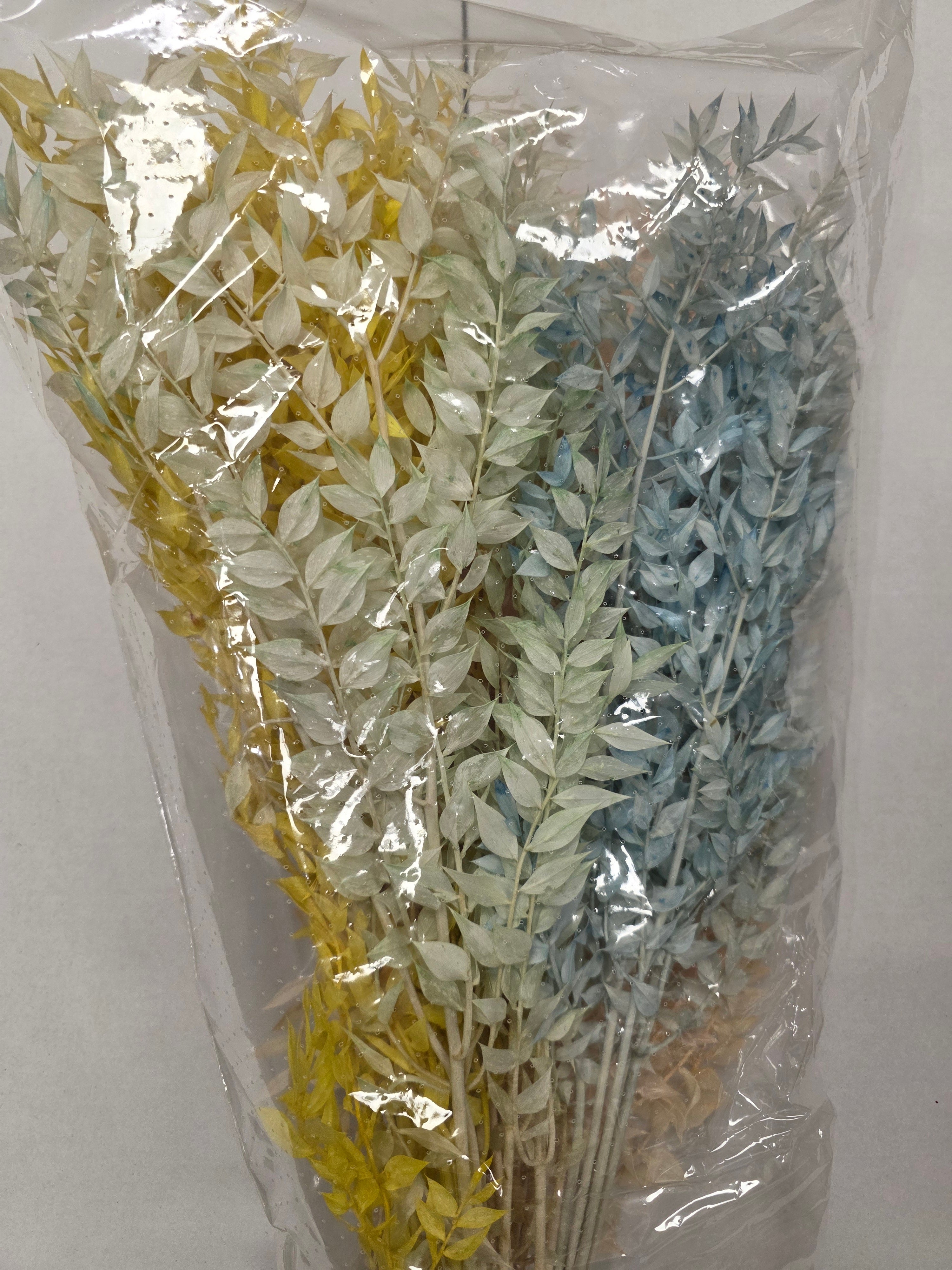 Dried Ruscus Mix