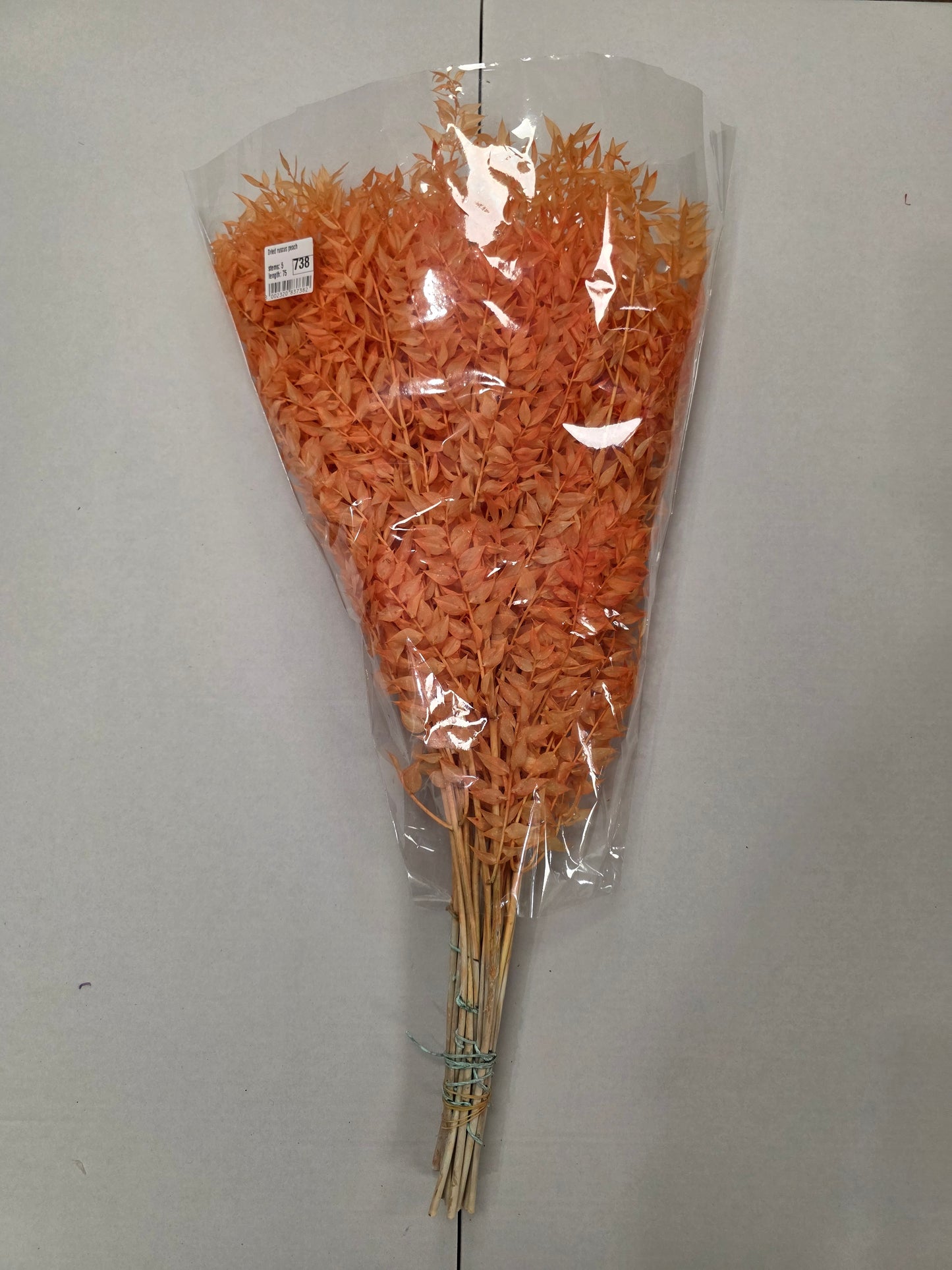 Dried Ruscus Peach