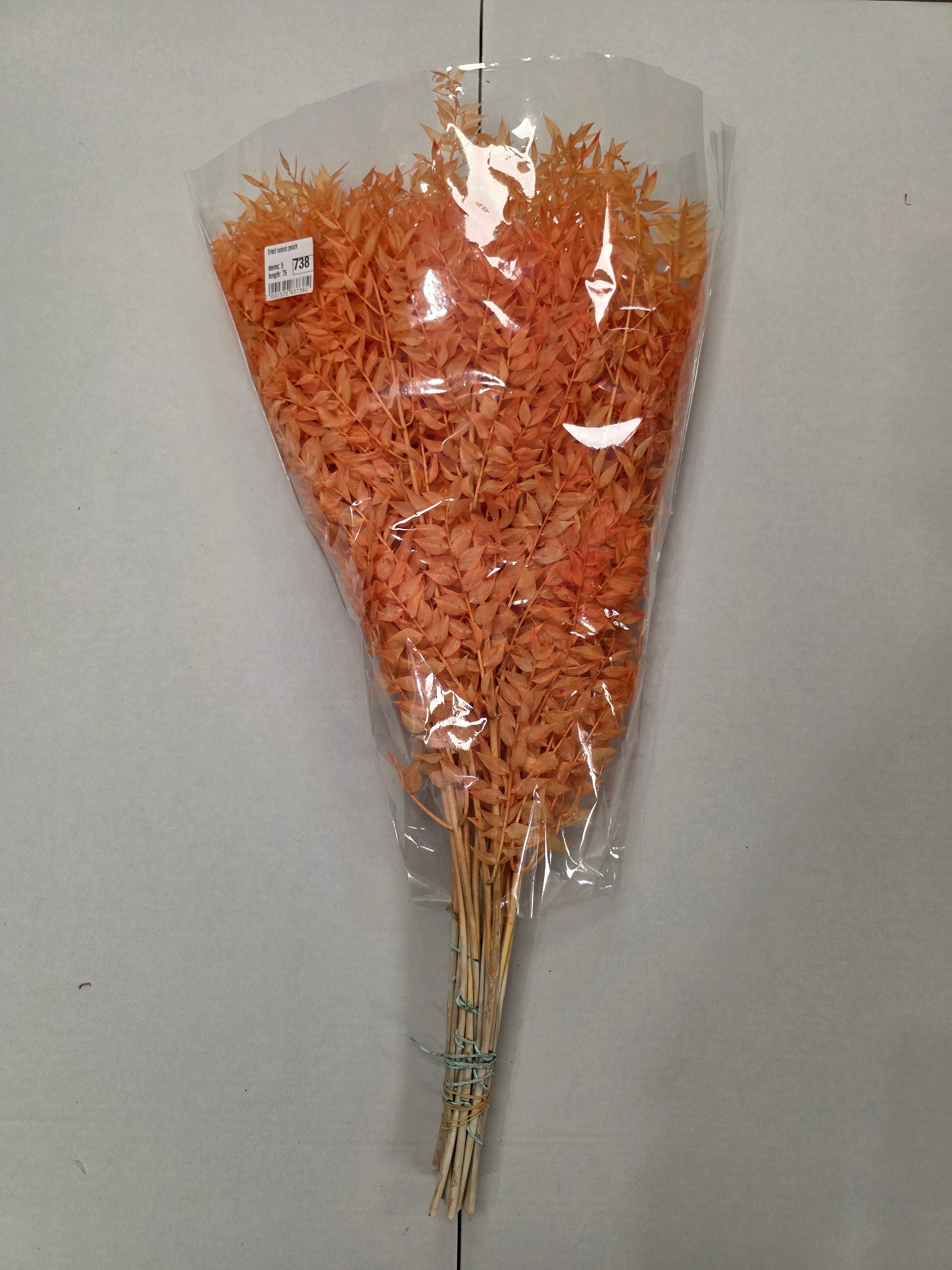 Dried Ruscus Peach