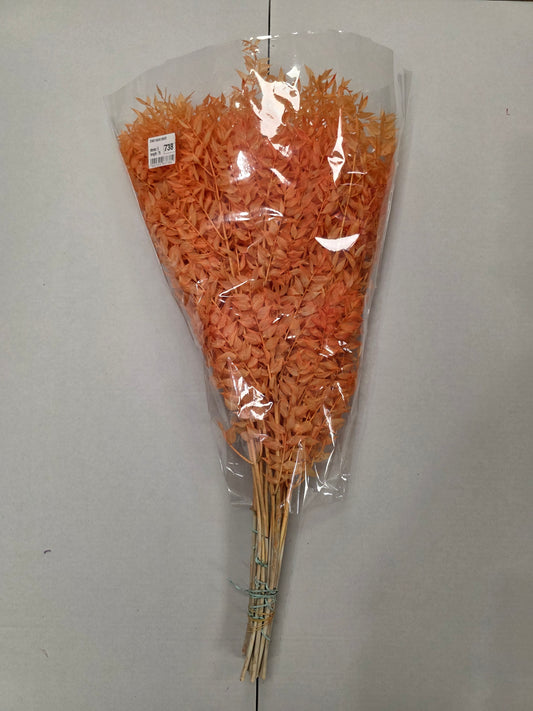 Dried Ruscus Peach