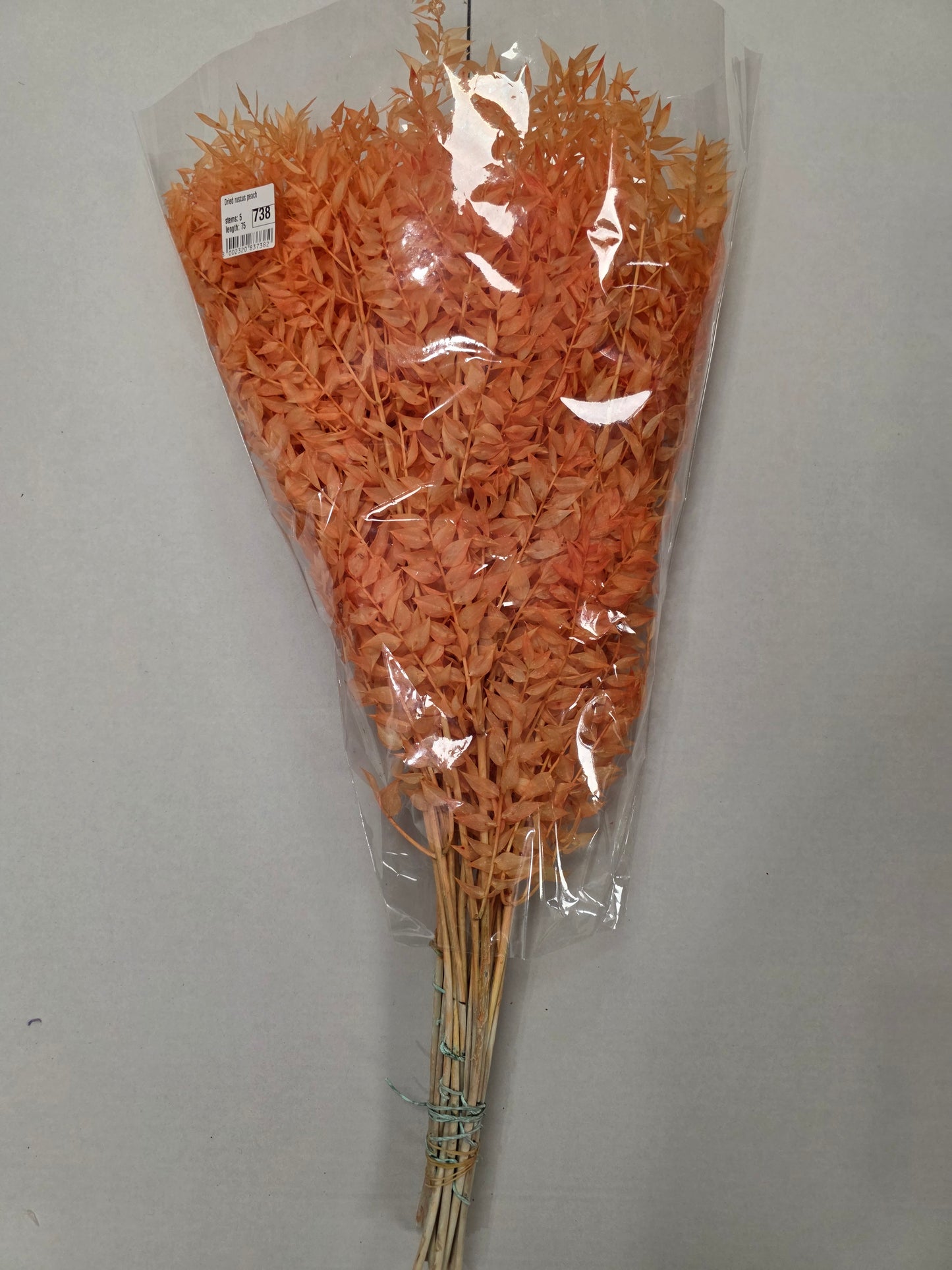 Dried Ruscus Peach