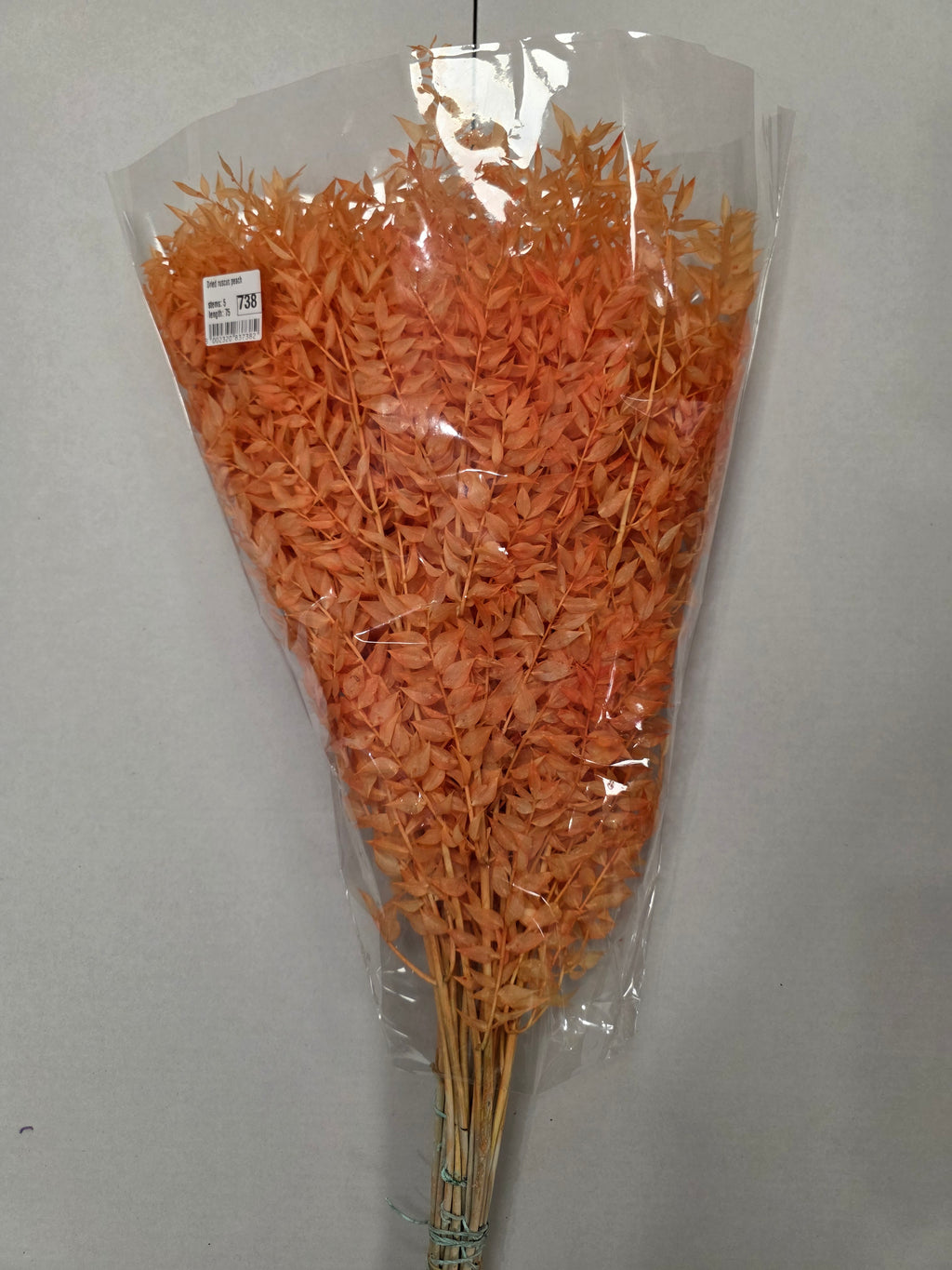 Dried Ruscus Peach