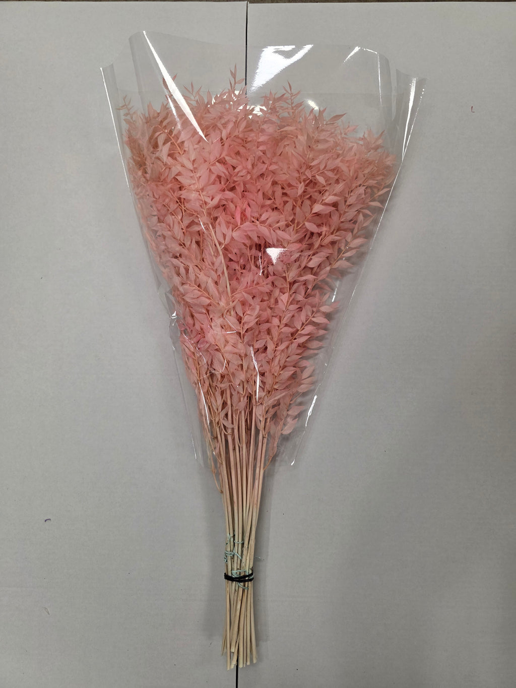 Dried Ruscus Pink