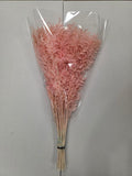 Dried Ruscus Pink