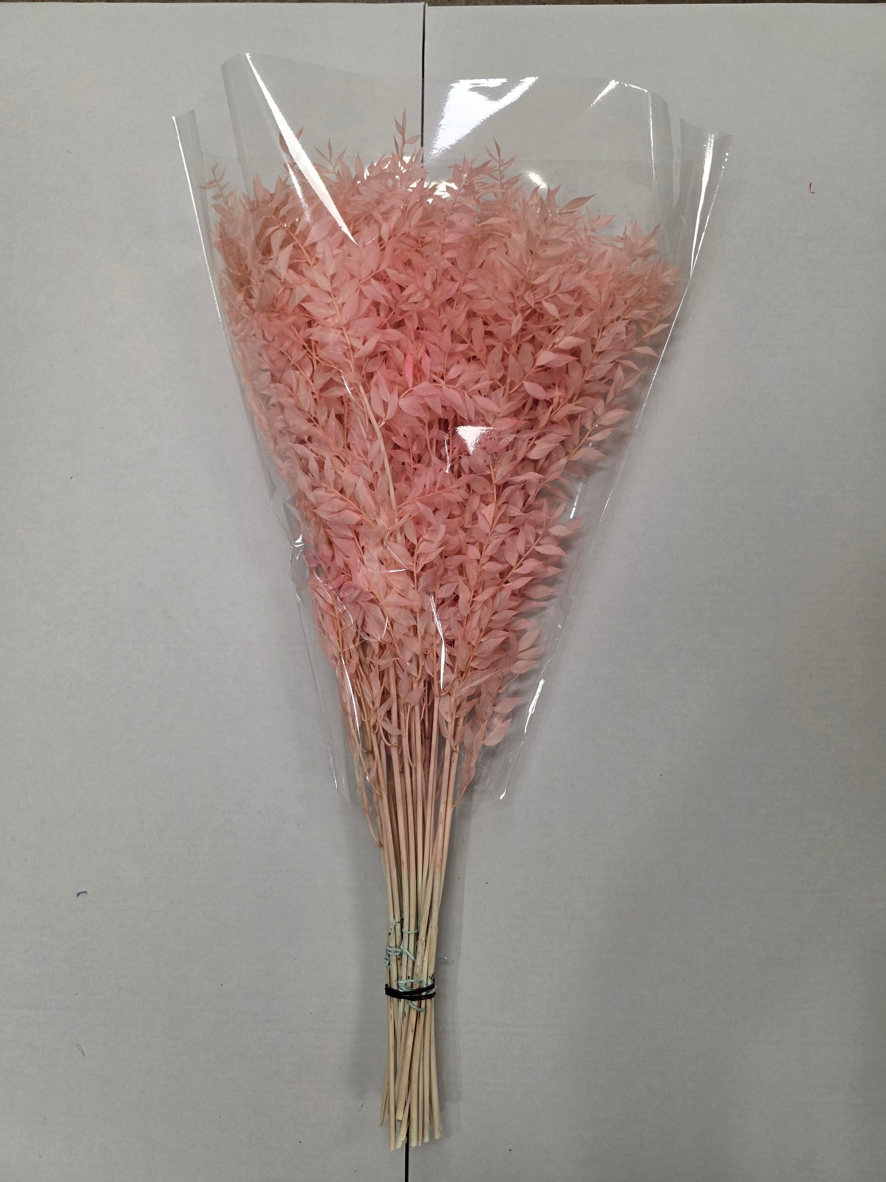 Dried Ruscus Pink