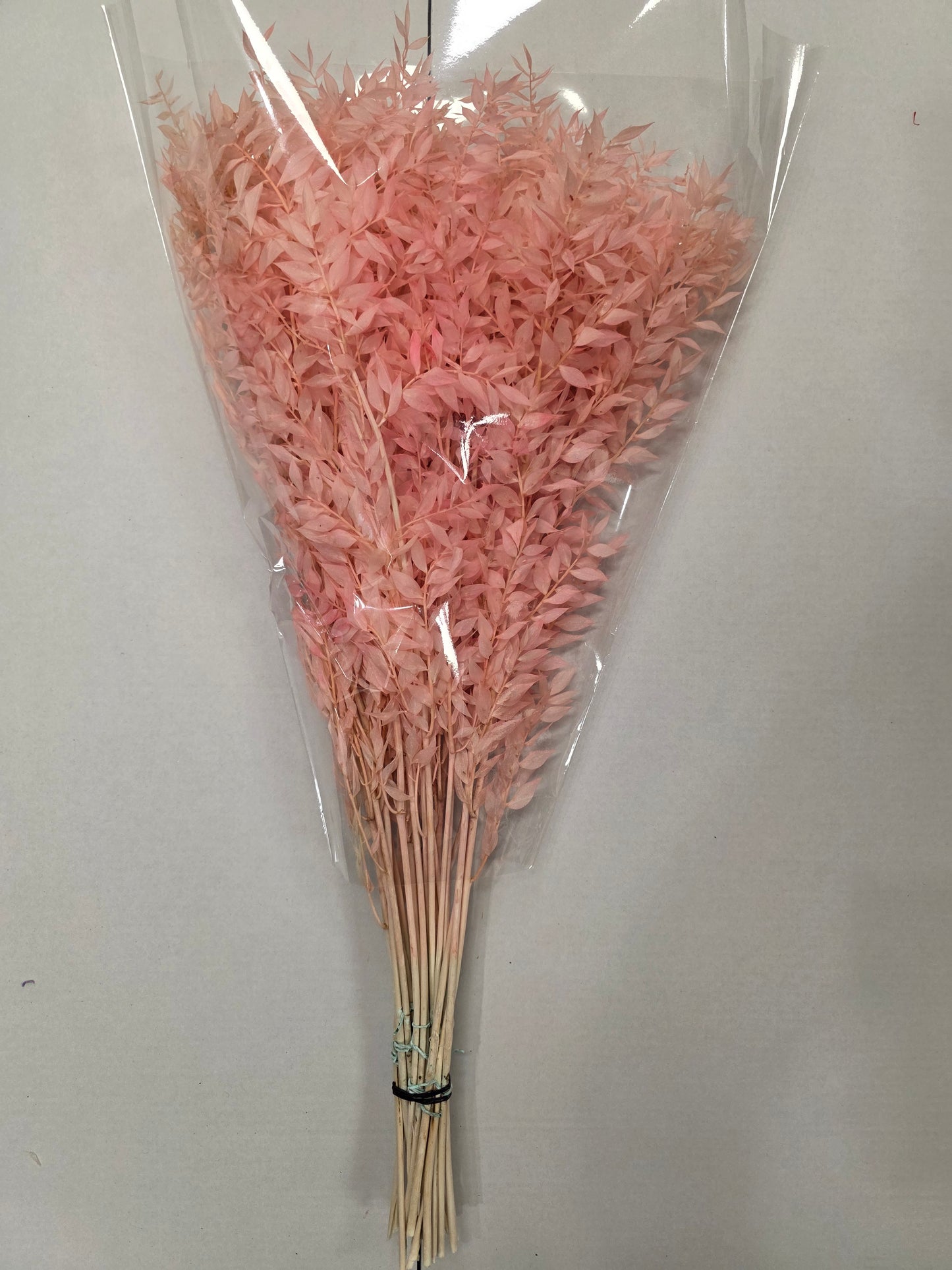 Dried Ruscus Pink