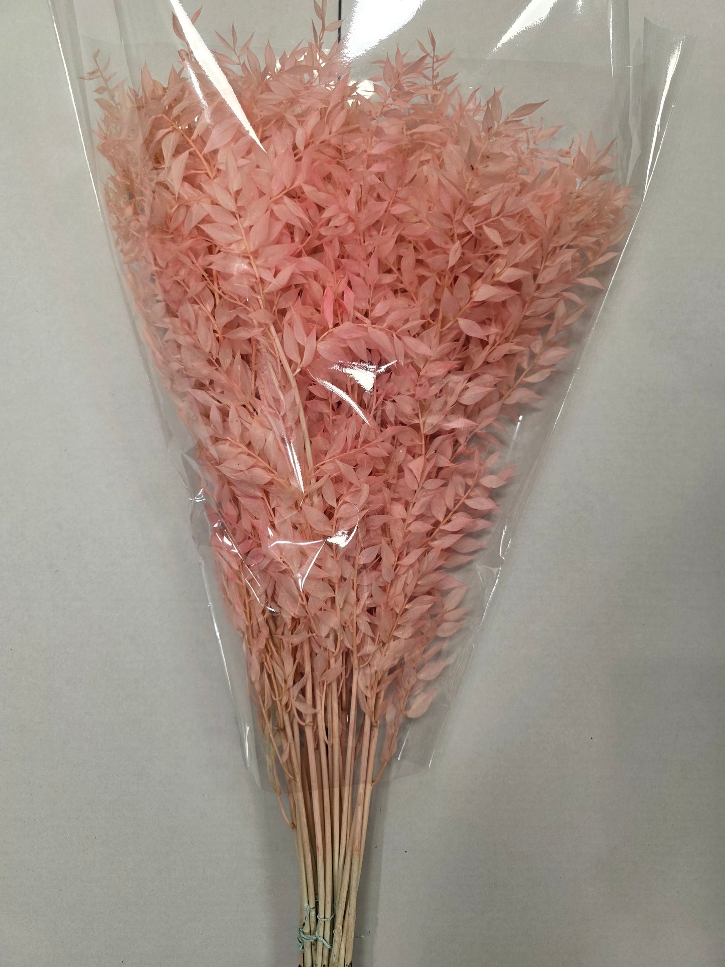 Dried Ruscus Pink