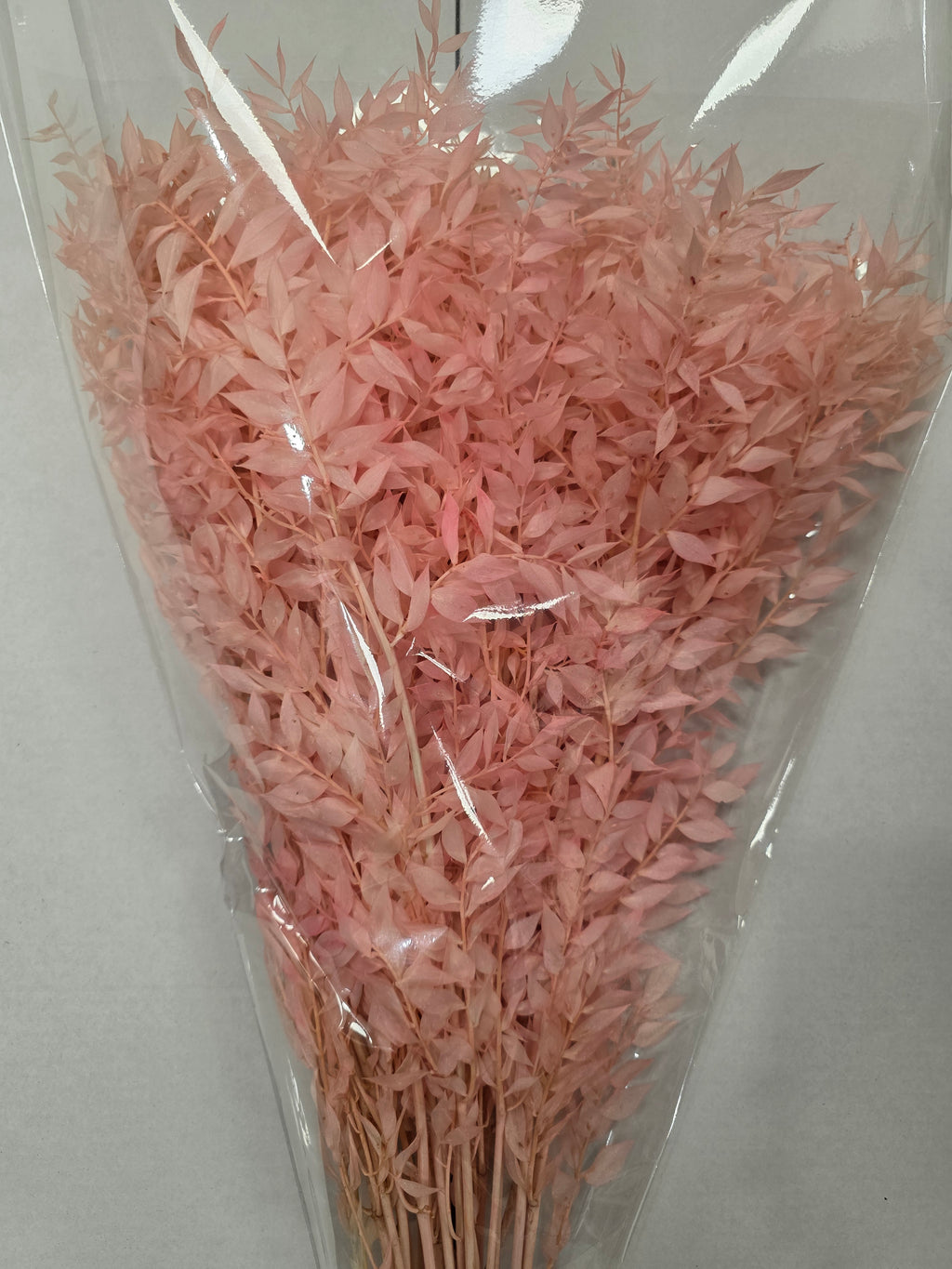 Dried Ruscus Pink
