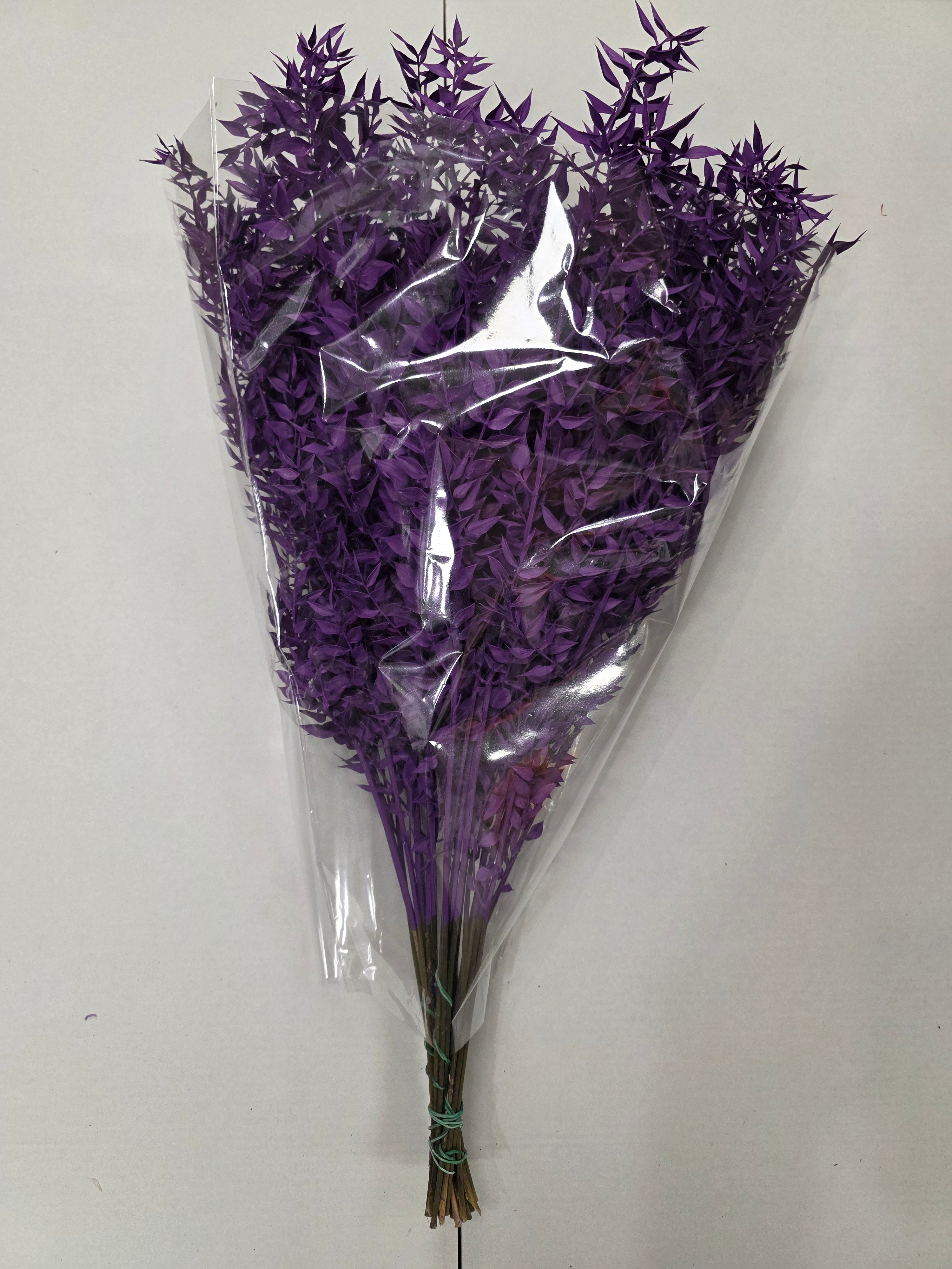 Dried Ruscus Purple