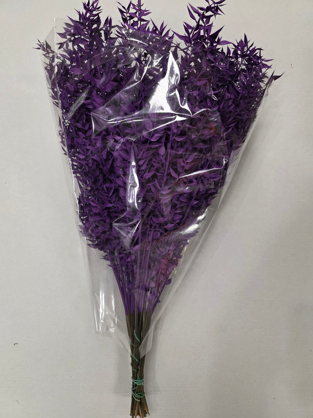 Dried Ruscus Purple