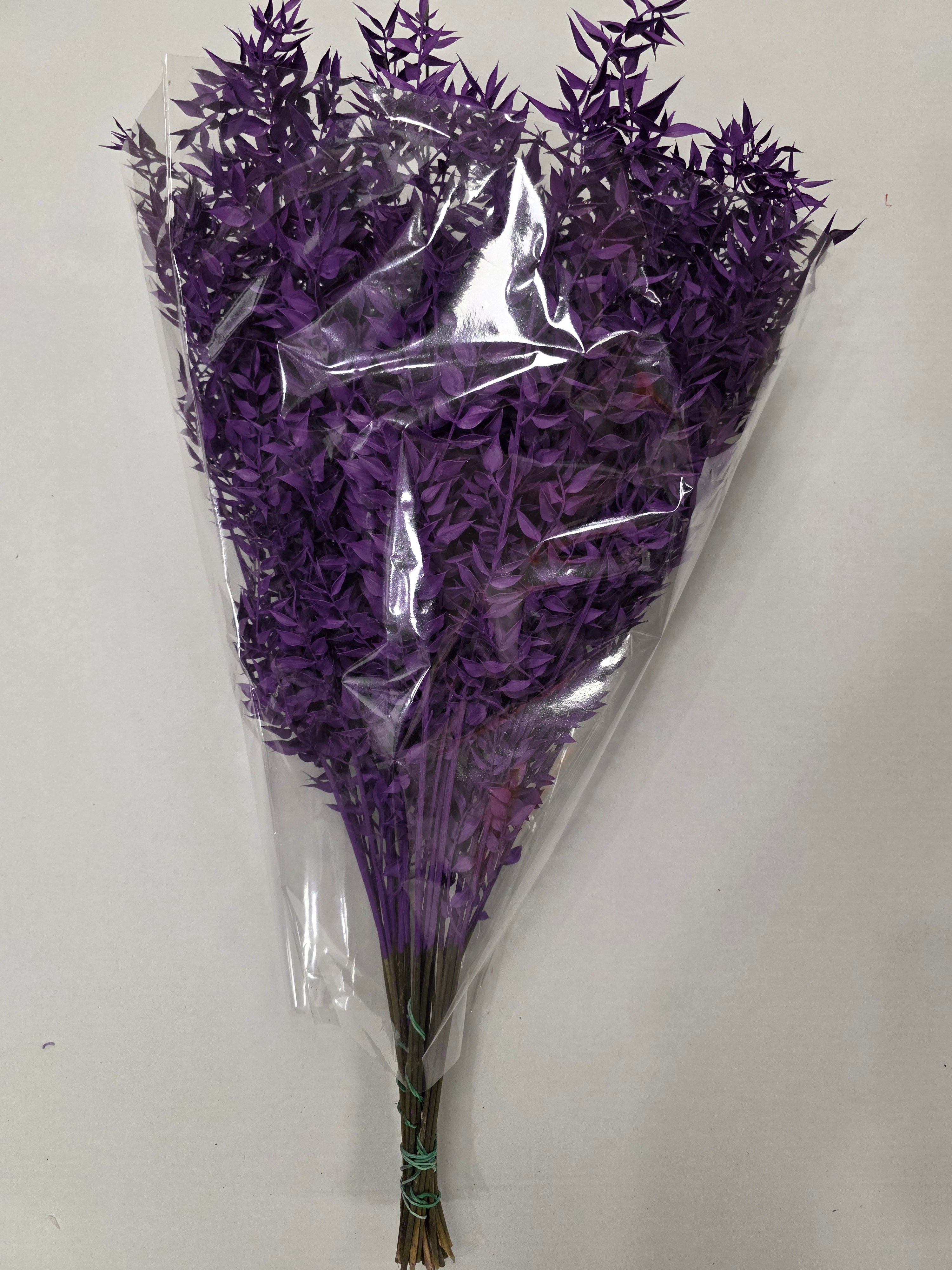 Dried Ruscus Purple
