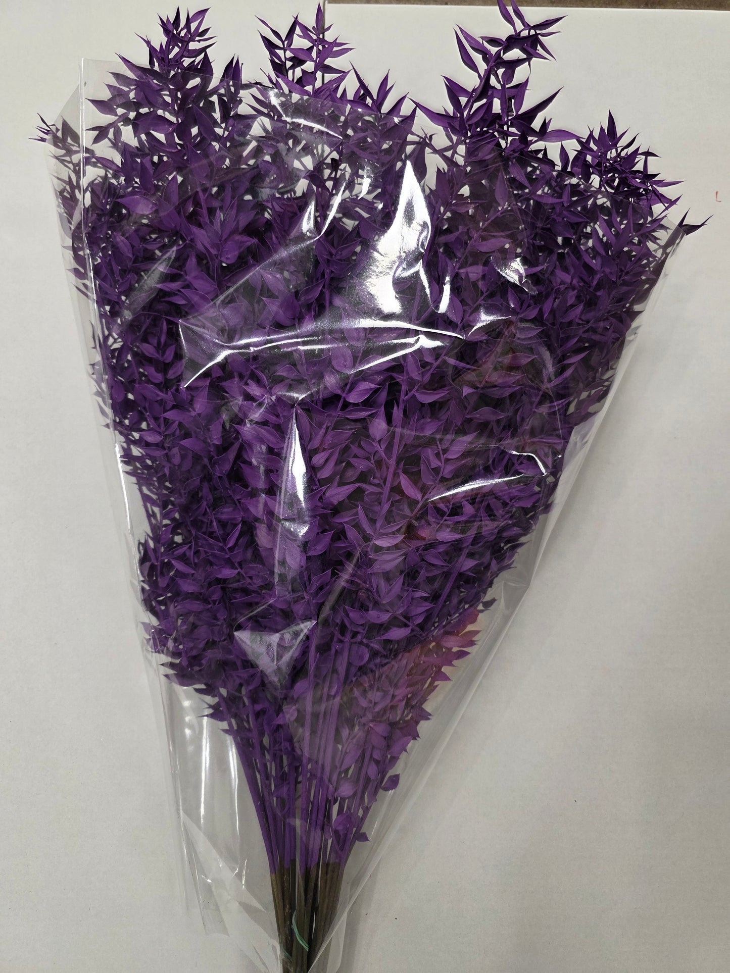 Dried Ruscus Purple