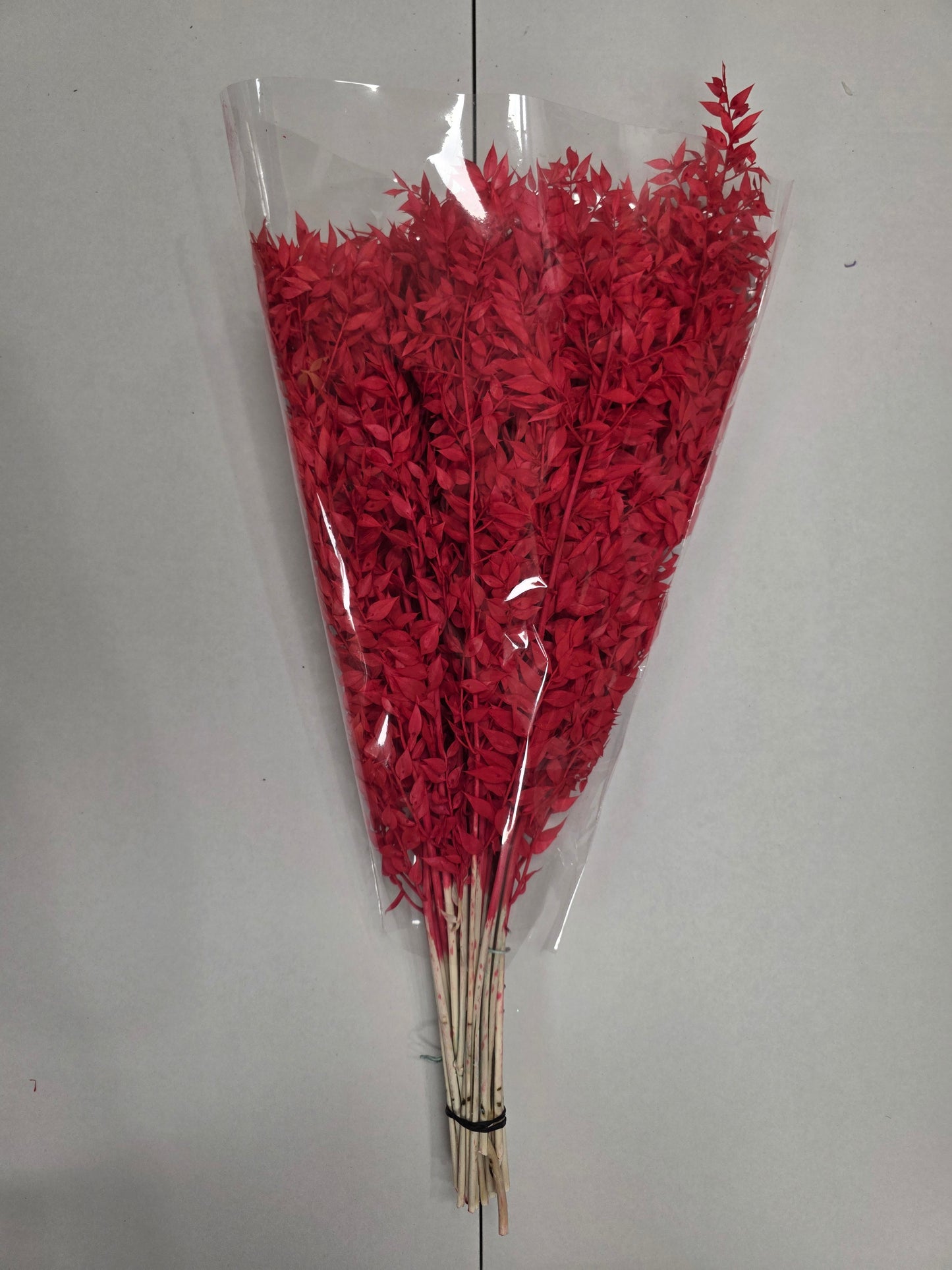 Dried Ruscus Red