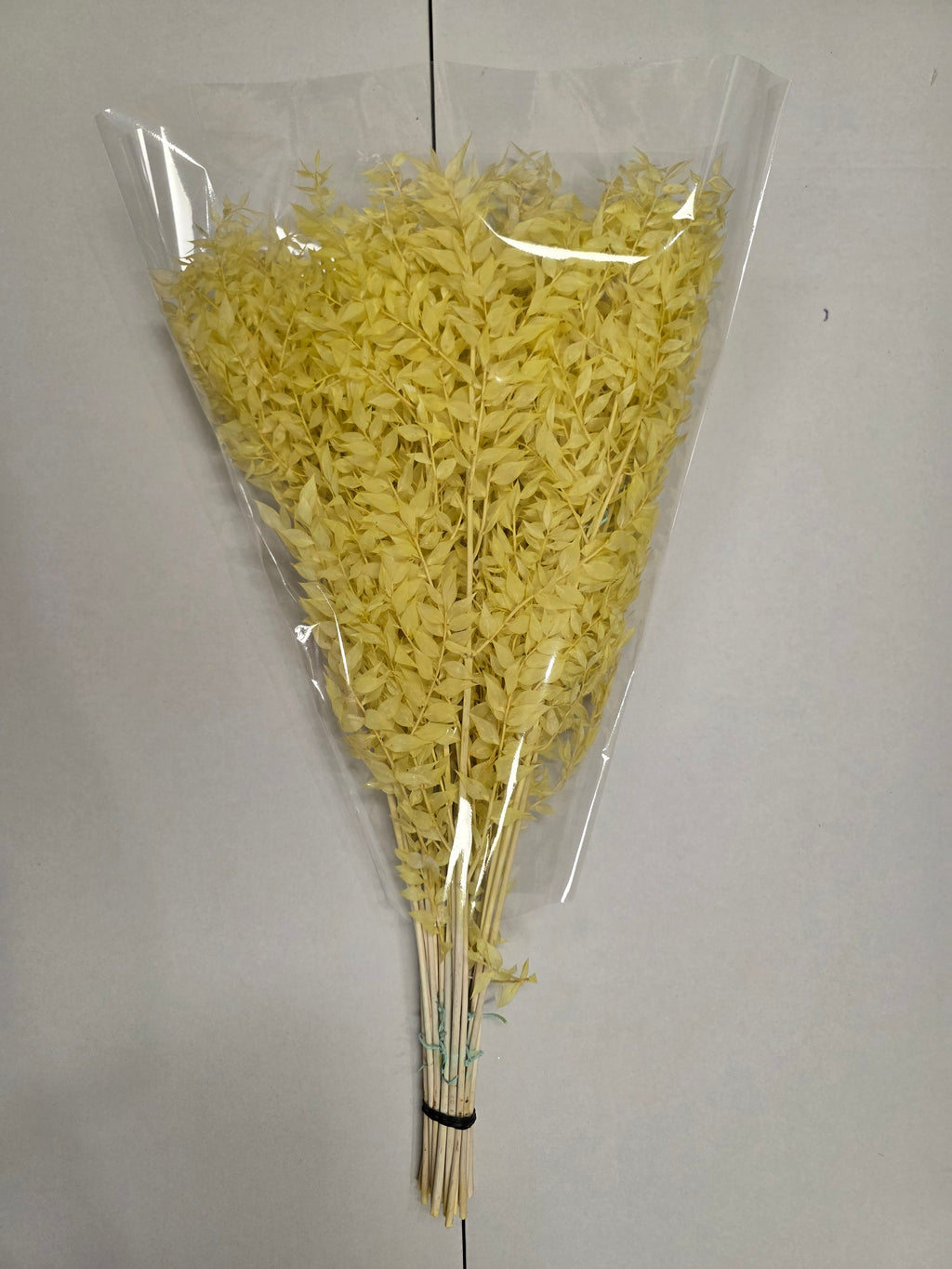 Dried Ruscus Yellow