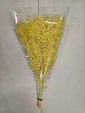 Dried Ruscus Yellow