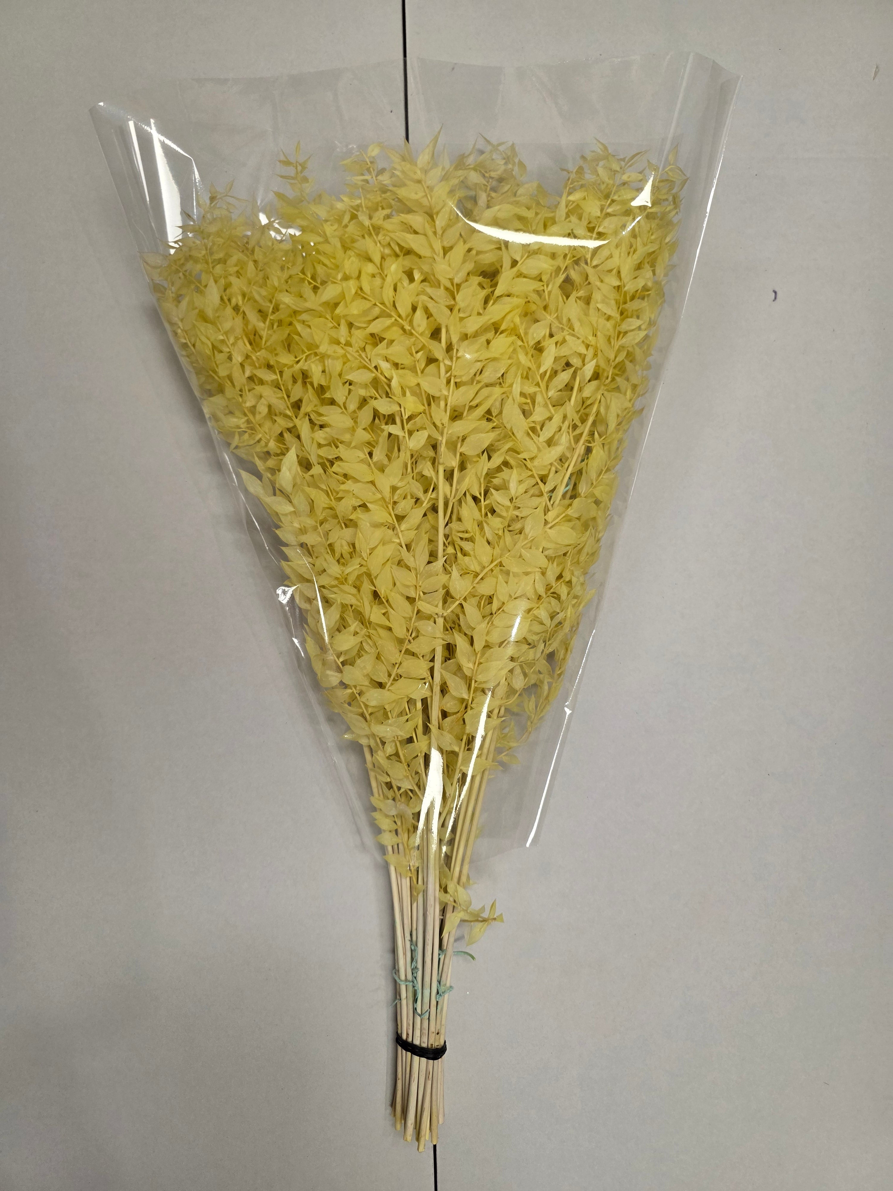Dried Ruscus Yellow