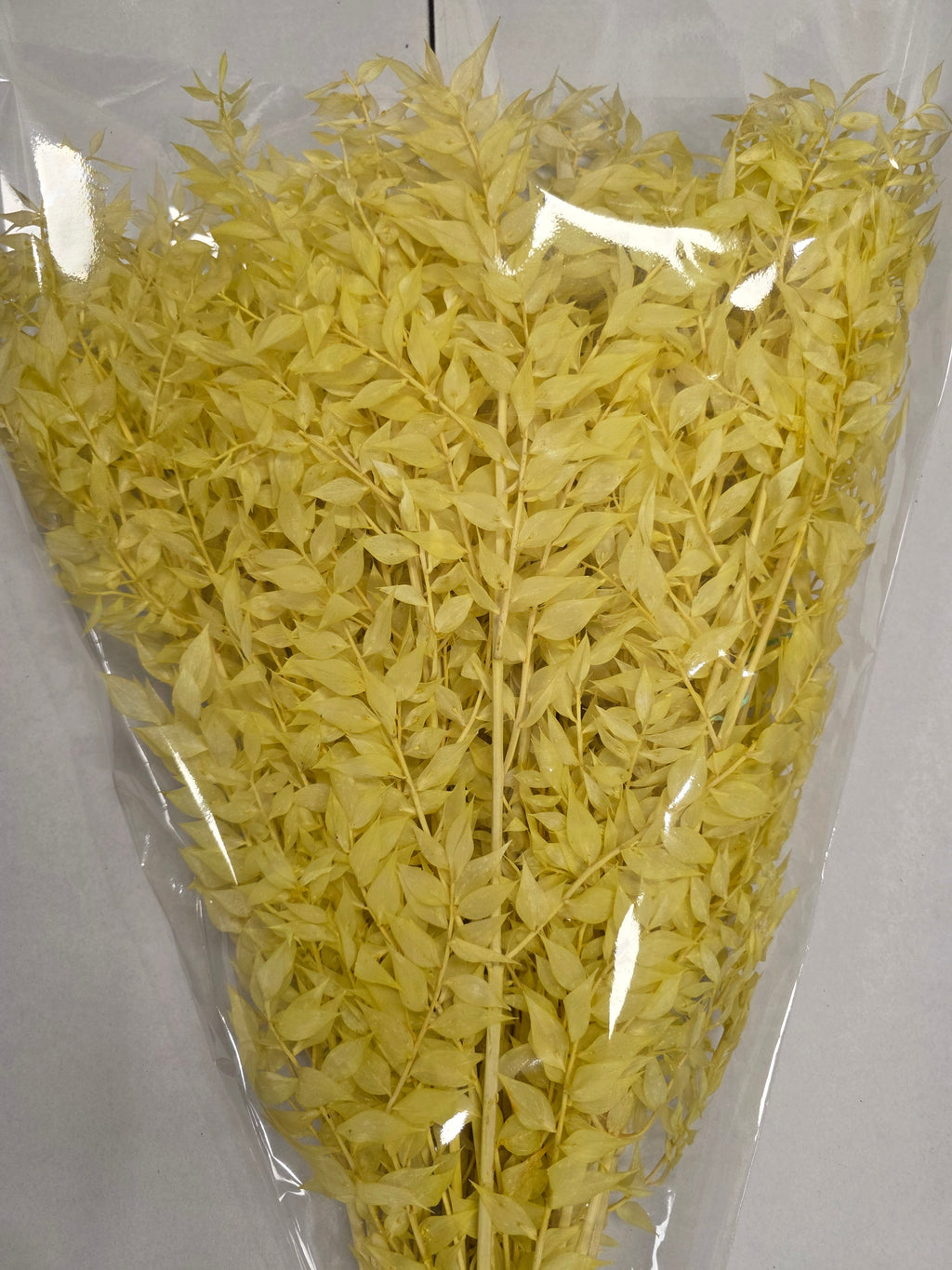 Dried Ruscus Yellow