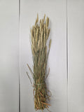 Dried Wheat Naturel(Pack of 5)