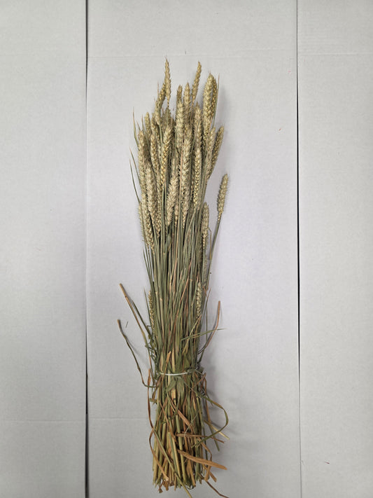 Dried Wheat Naturel
