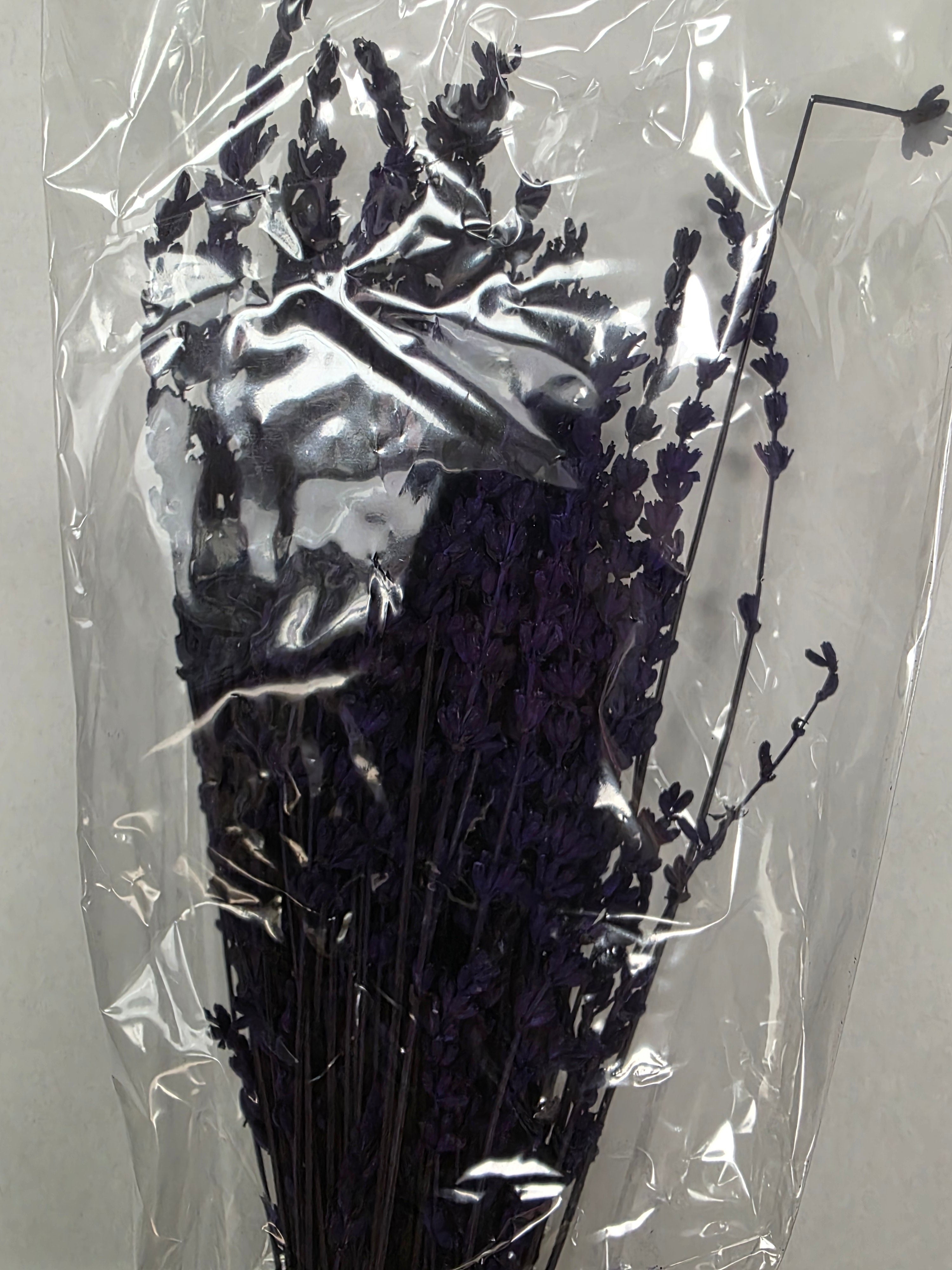 Lavendel Preserved
