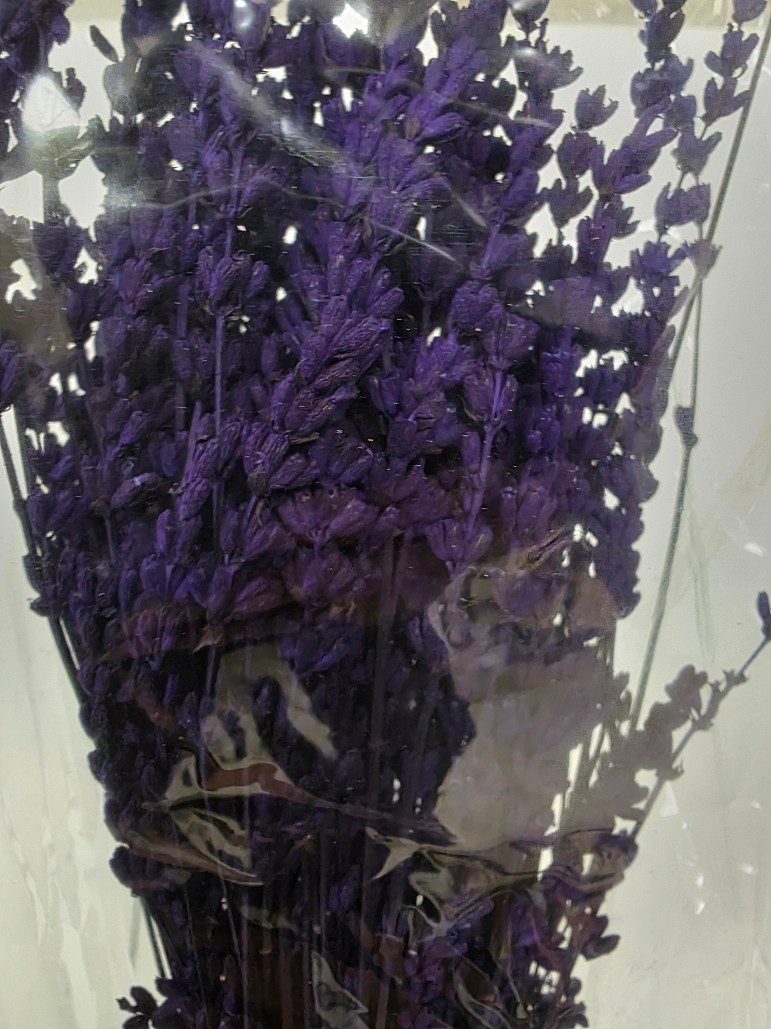 Lavendel Preserved