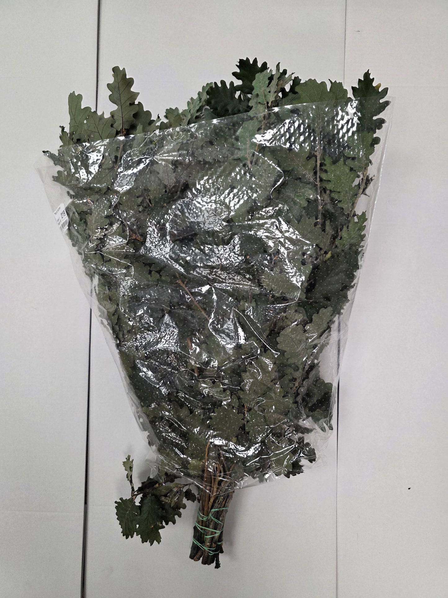 Pres Eik / Oak Green