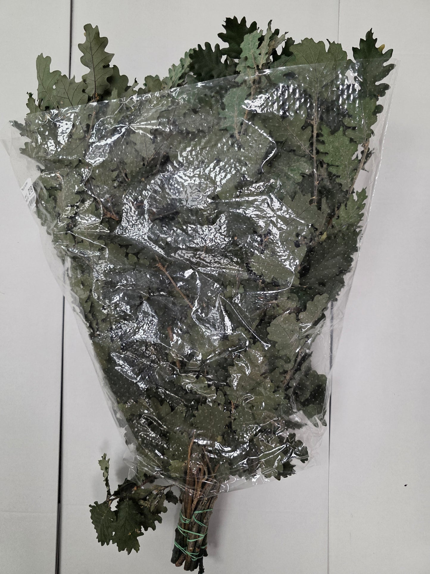 Pres Eik / Oak Green