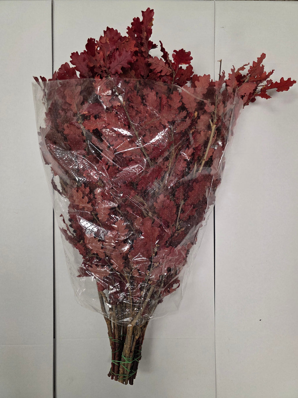 Pres Eik / Oak Red