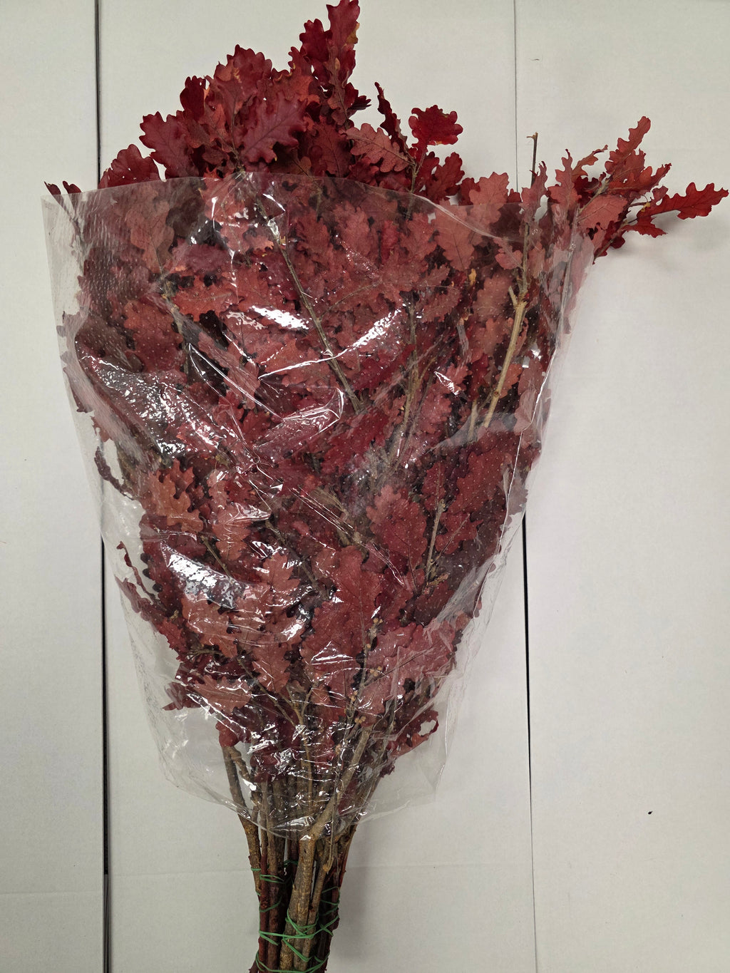 Pres Eik / Oak Red