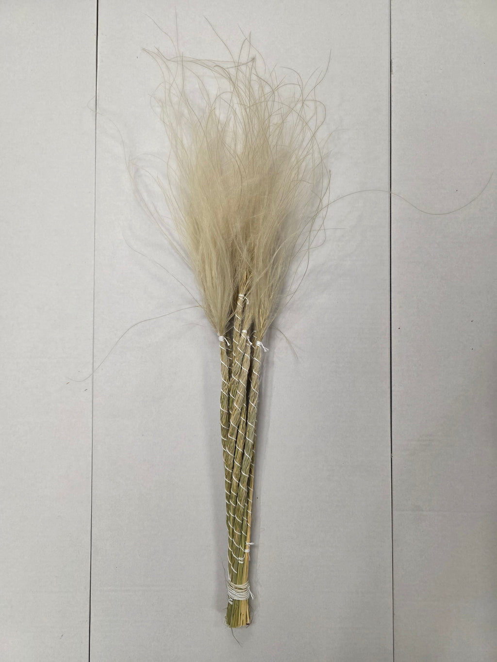 Stypha Natural