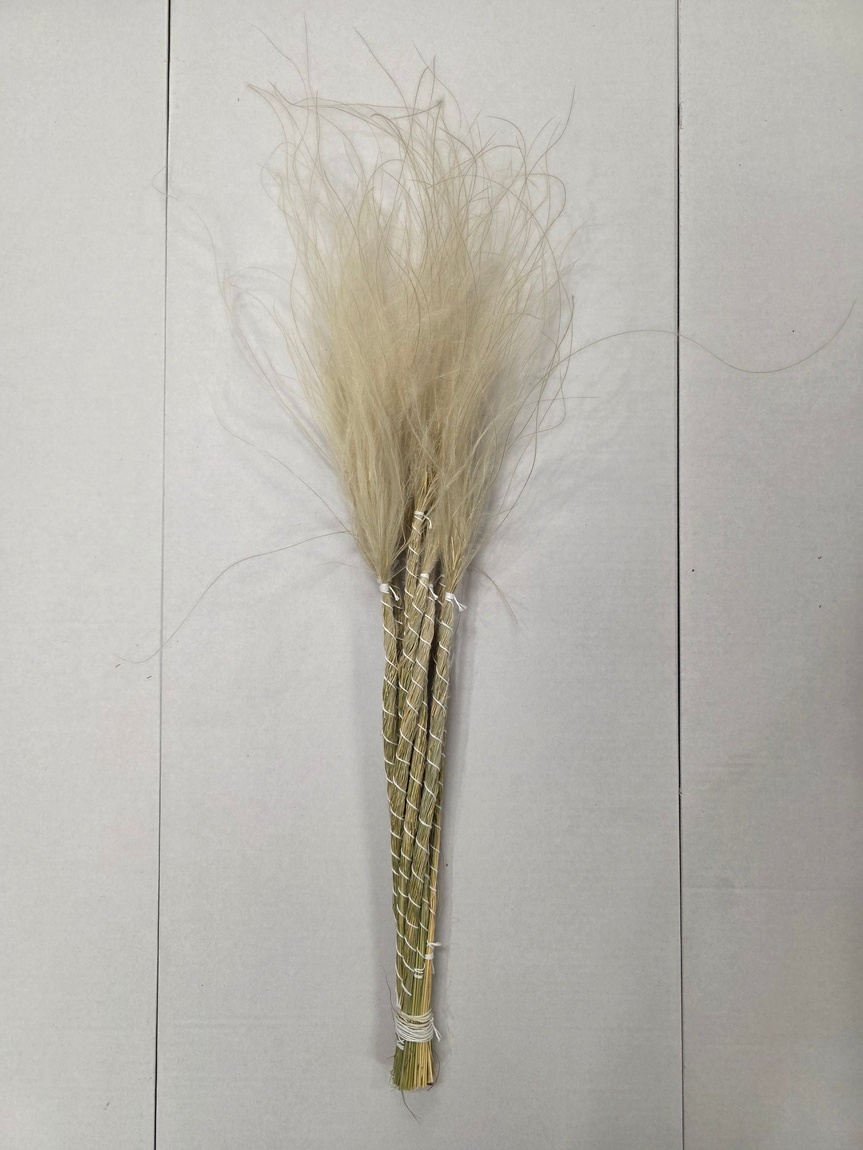 Stypha Natural