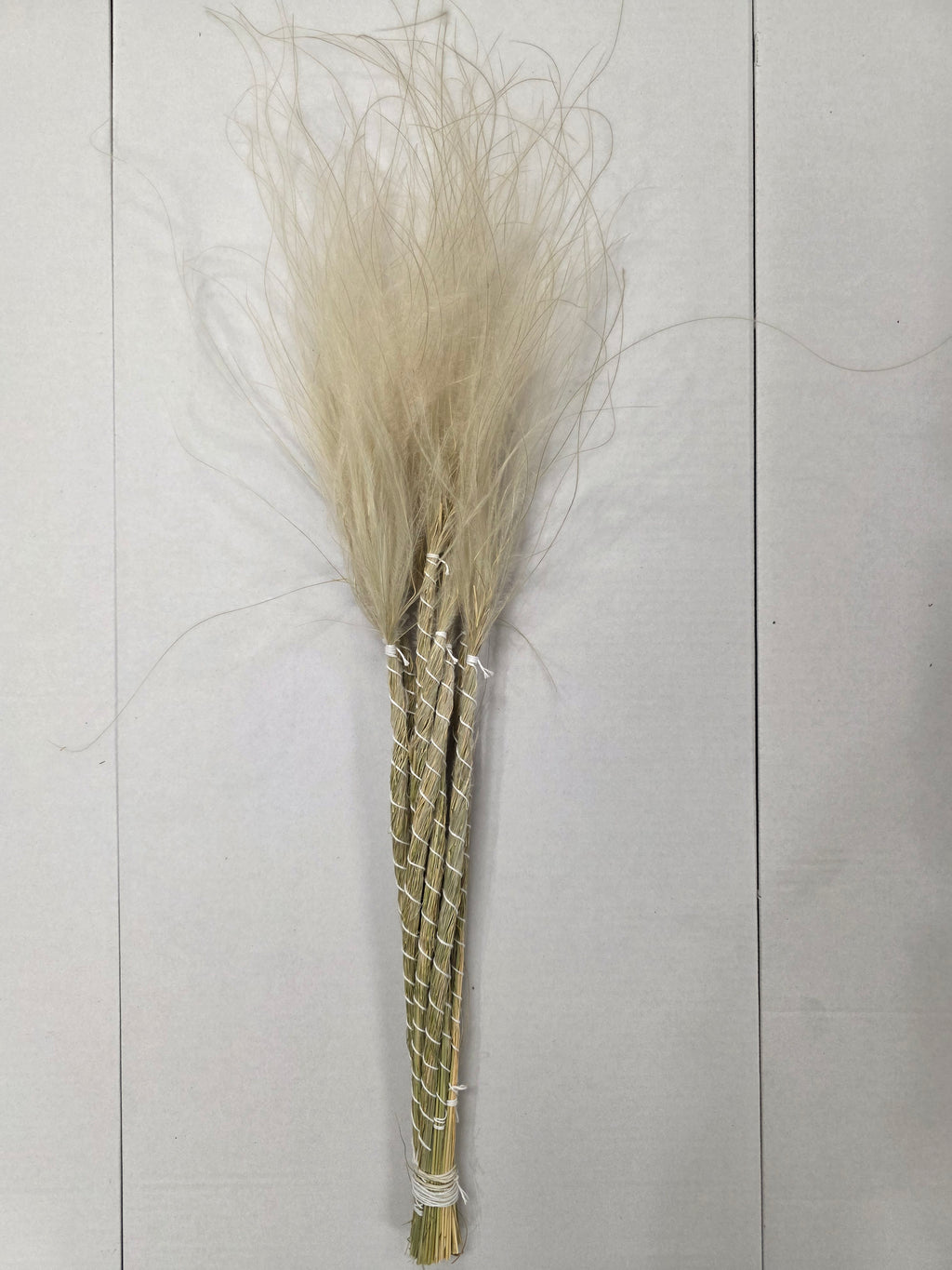 Stypha Natural