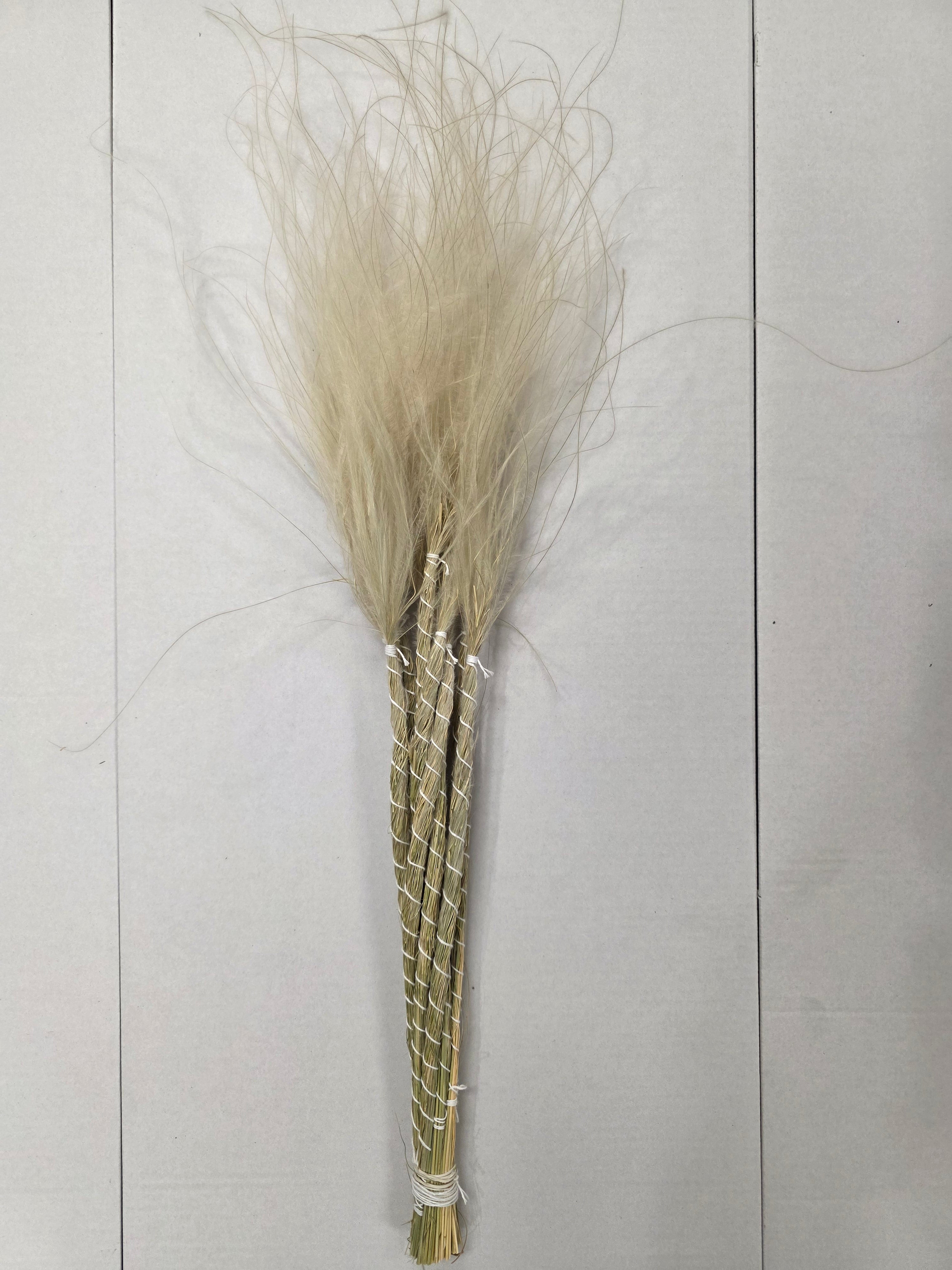Stypha Natural