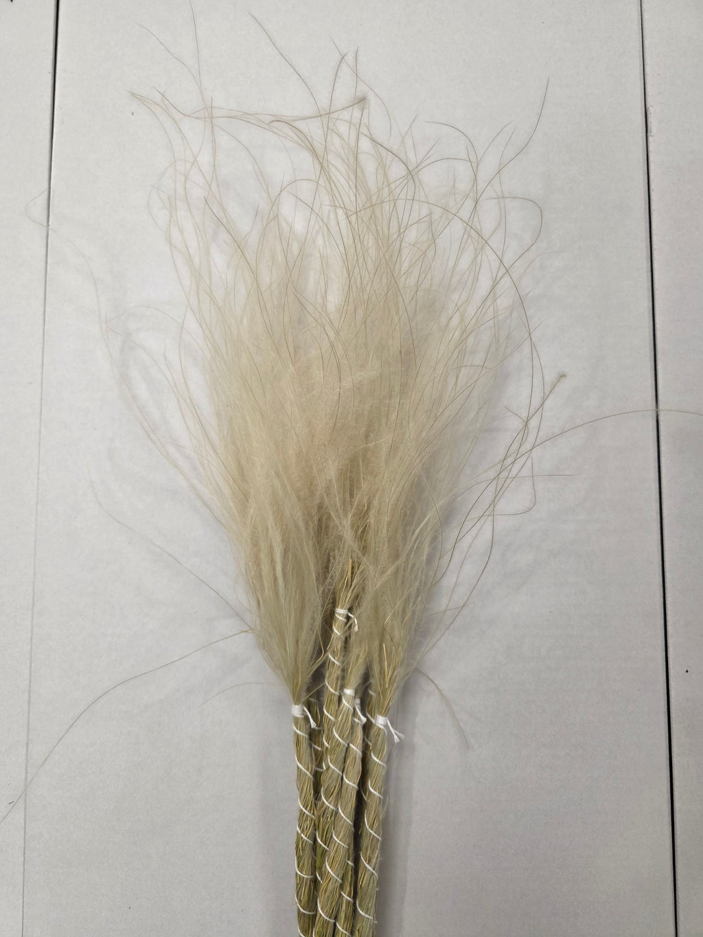 Stypha Natural