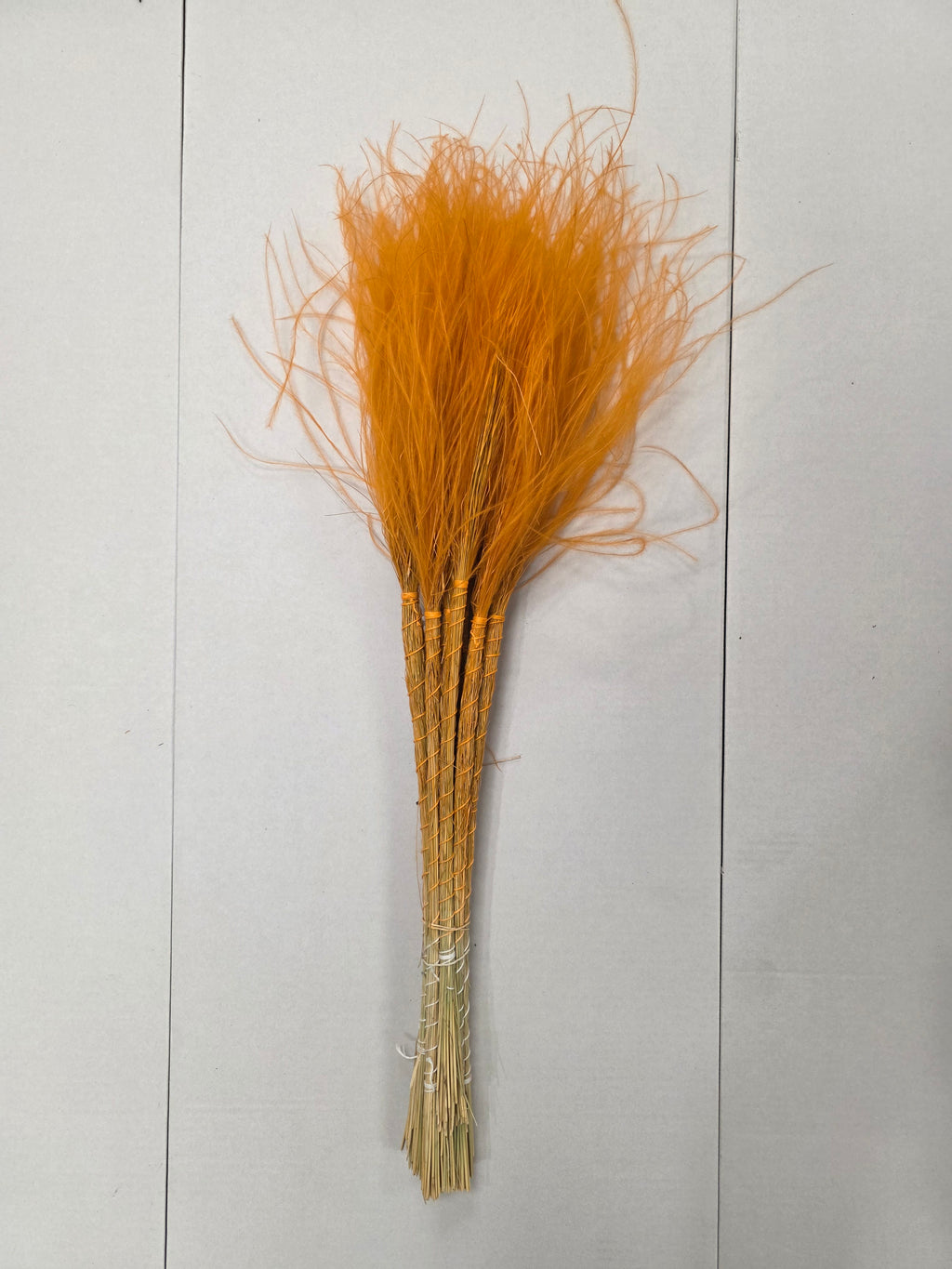 Stypha Orange
